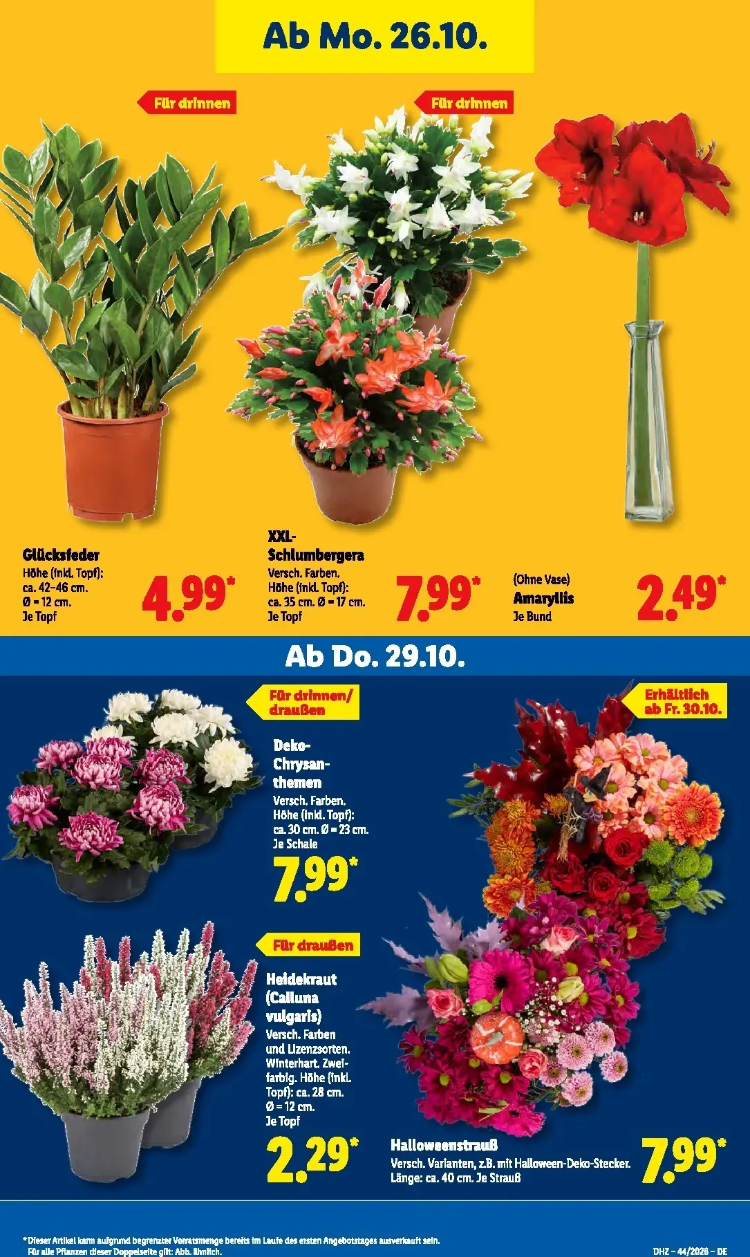 Lidl Prospekt nächste Woche – von Montag 26.10.2026 bis Samstag 31.10.2026 von 26. Oktober bis 31. Oktober 2026 - Prospekt seite 34