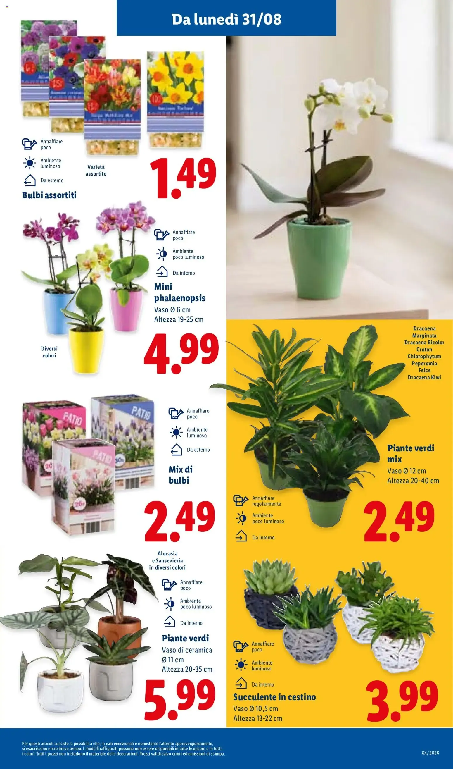 Super Offerte da 27 agosto a 2 settembre di 2026 - Pagina del volantino 33