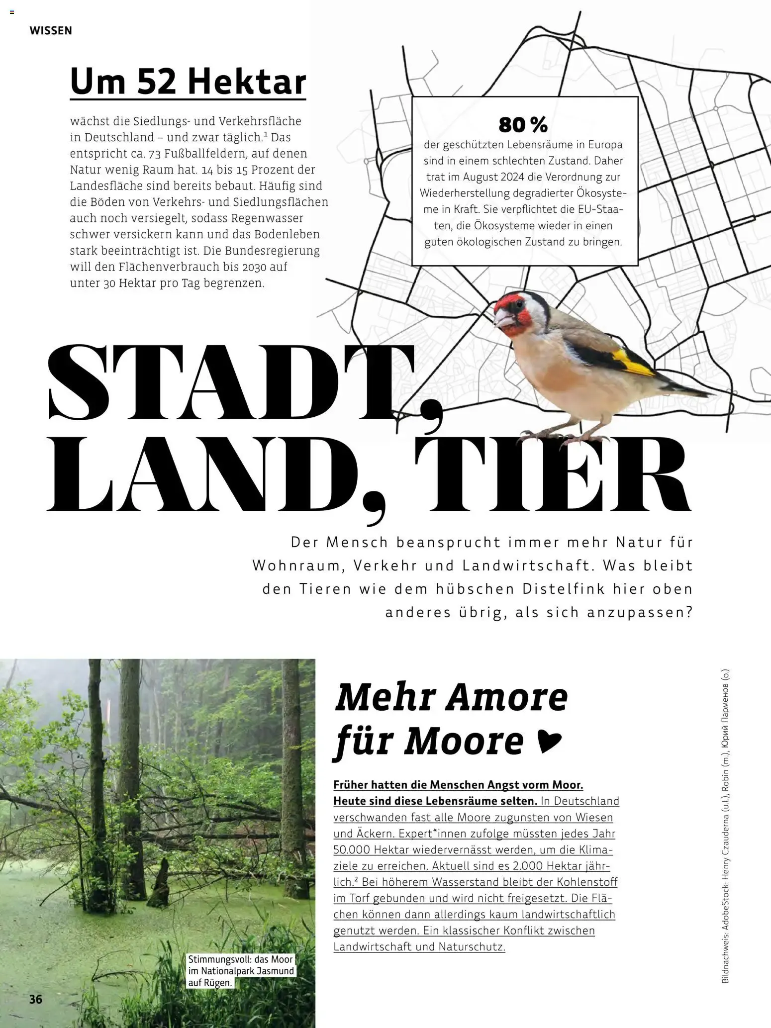 Das BioMarkt Magazin KREO von 17. Juli bis 30. September 2026 - Prospekt seite 35