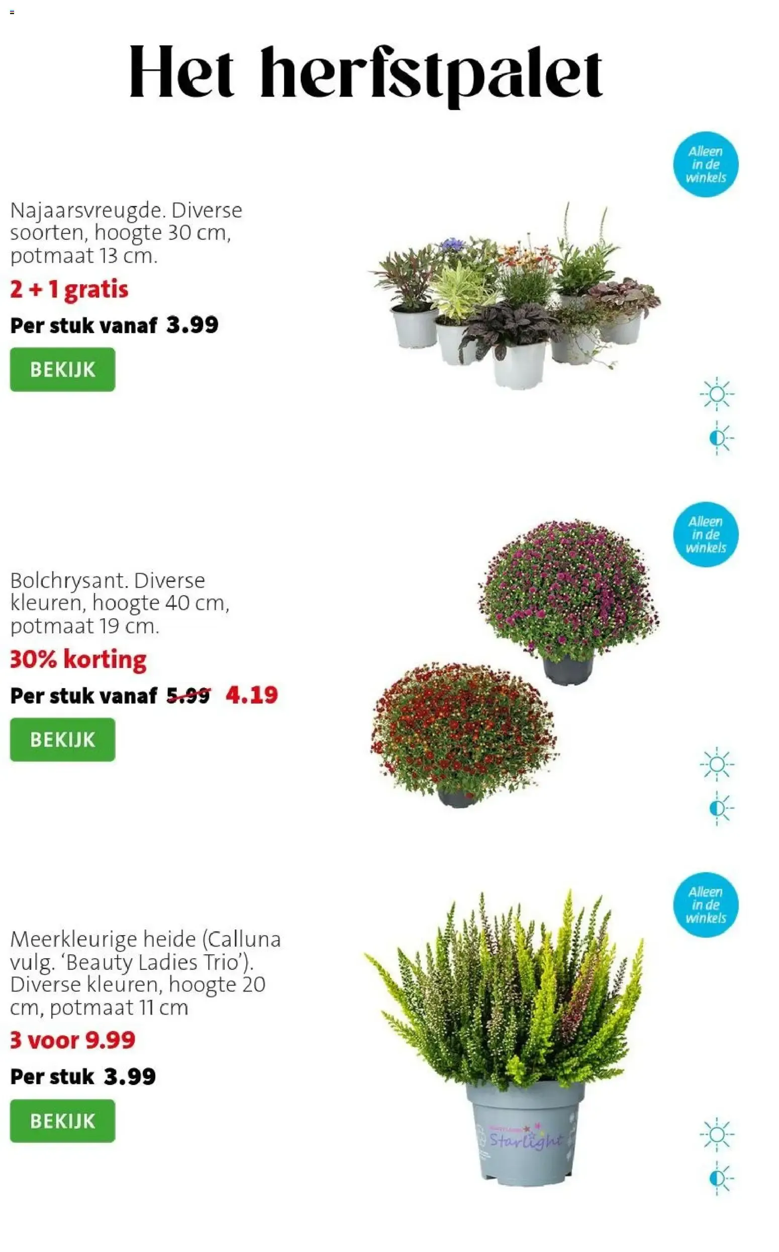 Intratuin: SALE tot 50% korting van 17 augustus tot 23 augustus 2026 - Folder pagina 3