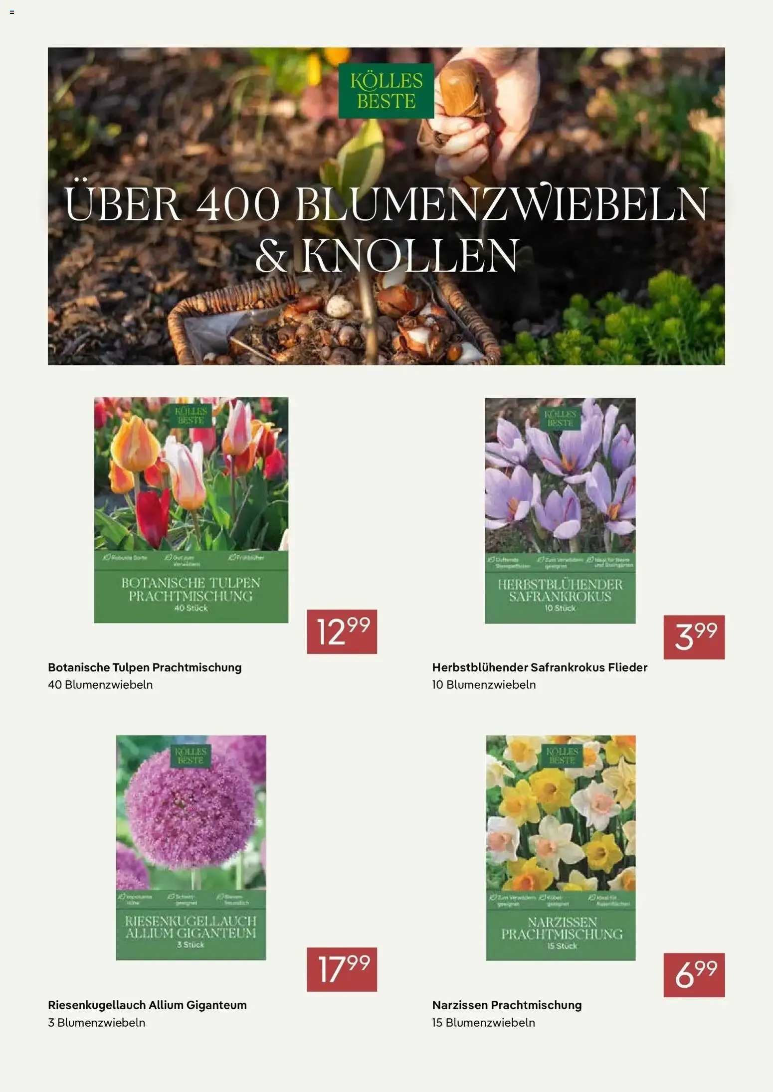 Pflanzen-Kölle Aktueller Prospekt (ab 01.10.2026) zum Blättern von 1. Oktober bis 31. Oktober 2026 - Prospekt seite 5