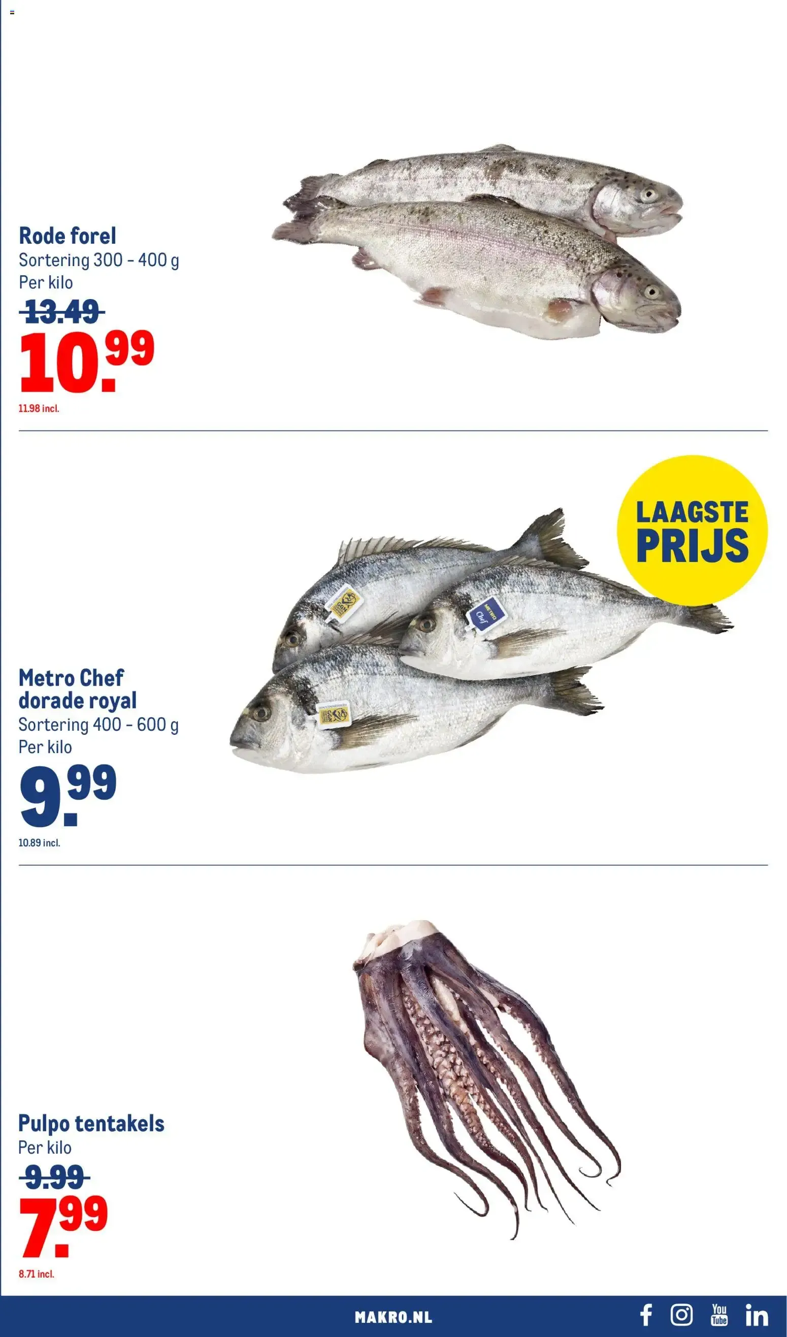 Makro folder vanaf 29-07-2026 || NIEUWE van 29 juli tot 9 augustus 2026 - Folder pagina 21