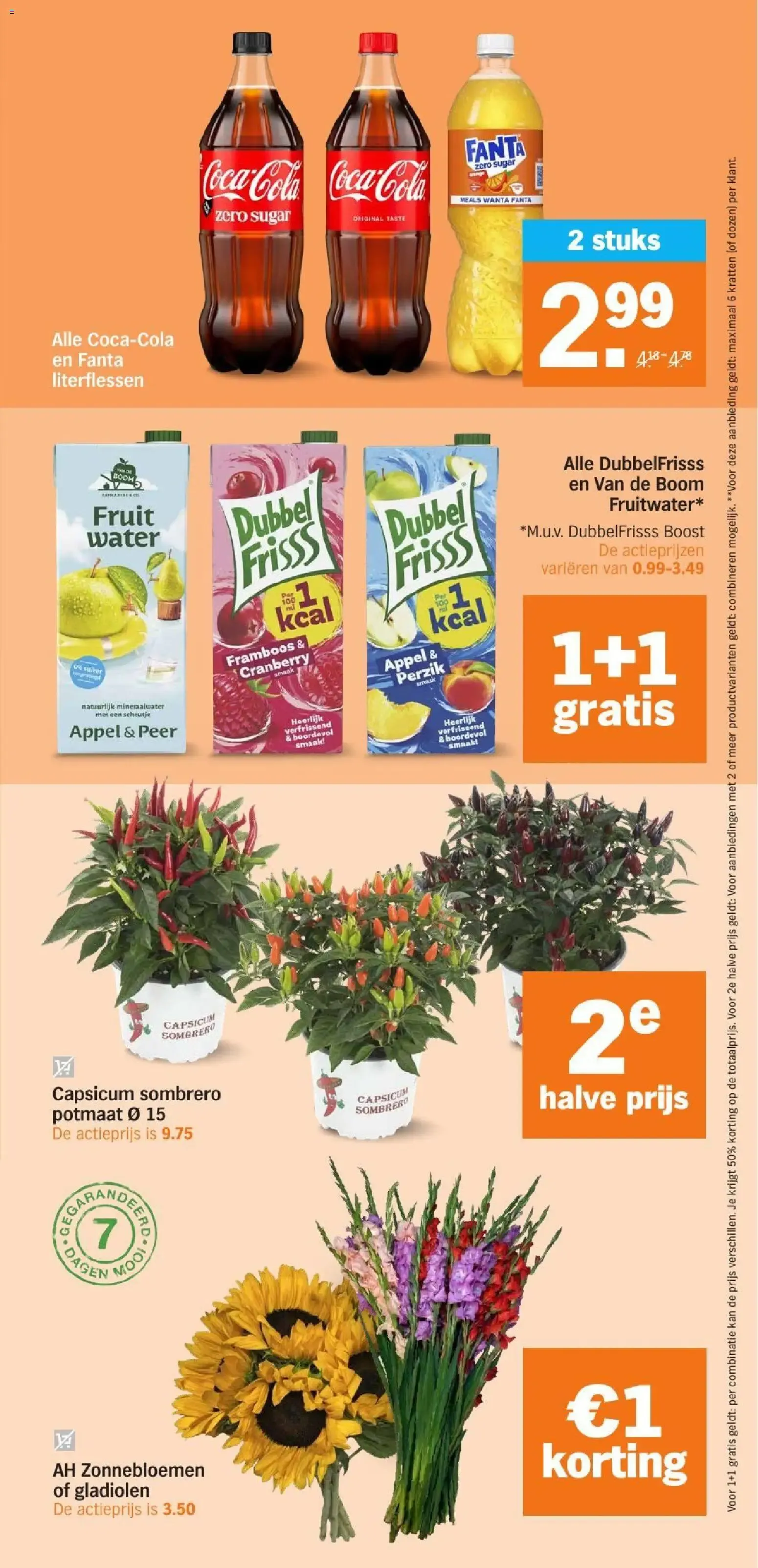 AH BONUS folder van 7 september tot 13 september 2026 - Folder pagina 31