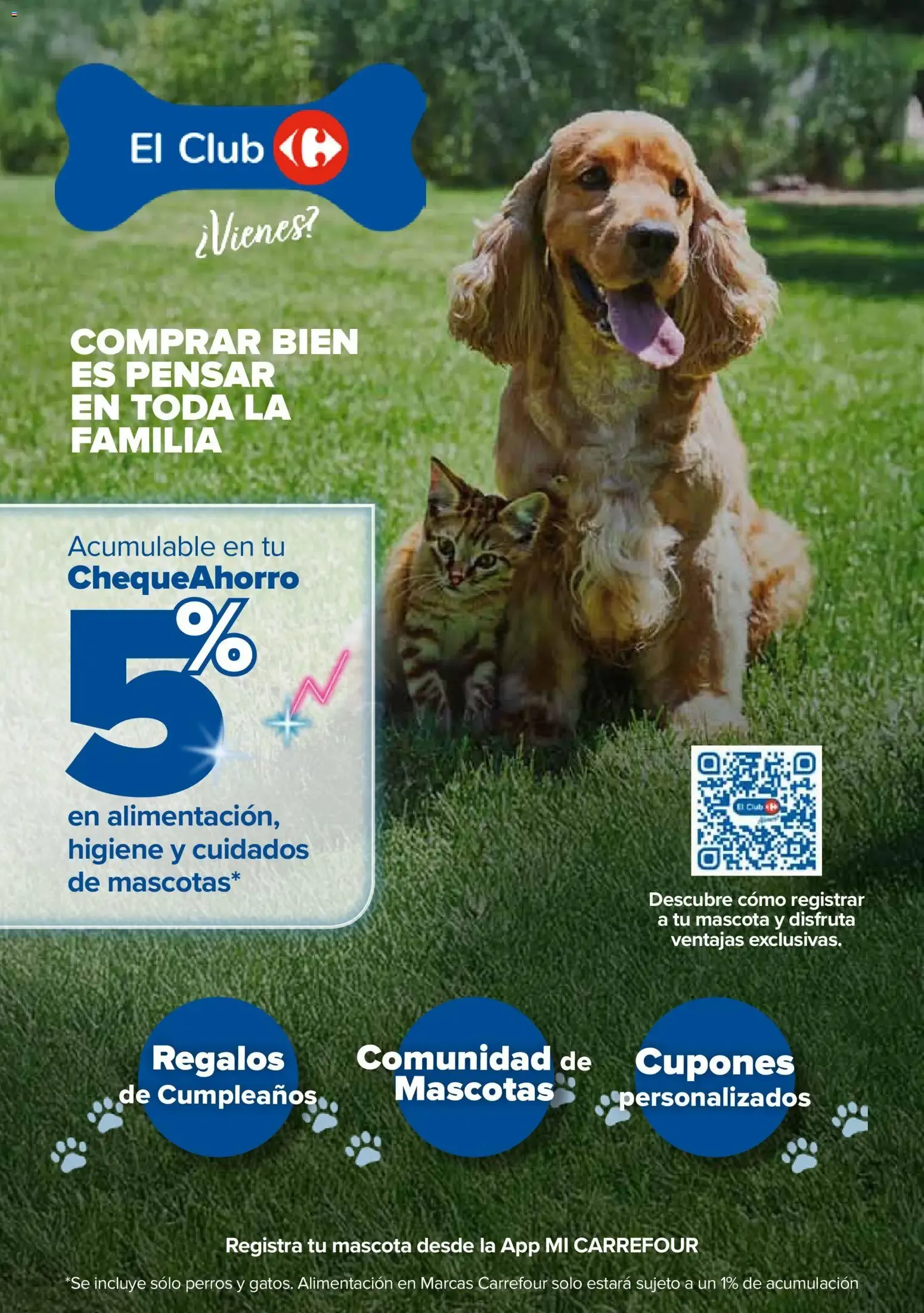 Catálogo de Carrefour Mascotas del 25/06/2026 | Catálogo 25 de junio al 13 de julio 2026 - Página 4