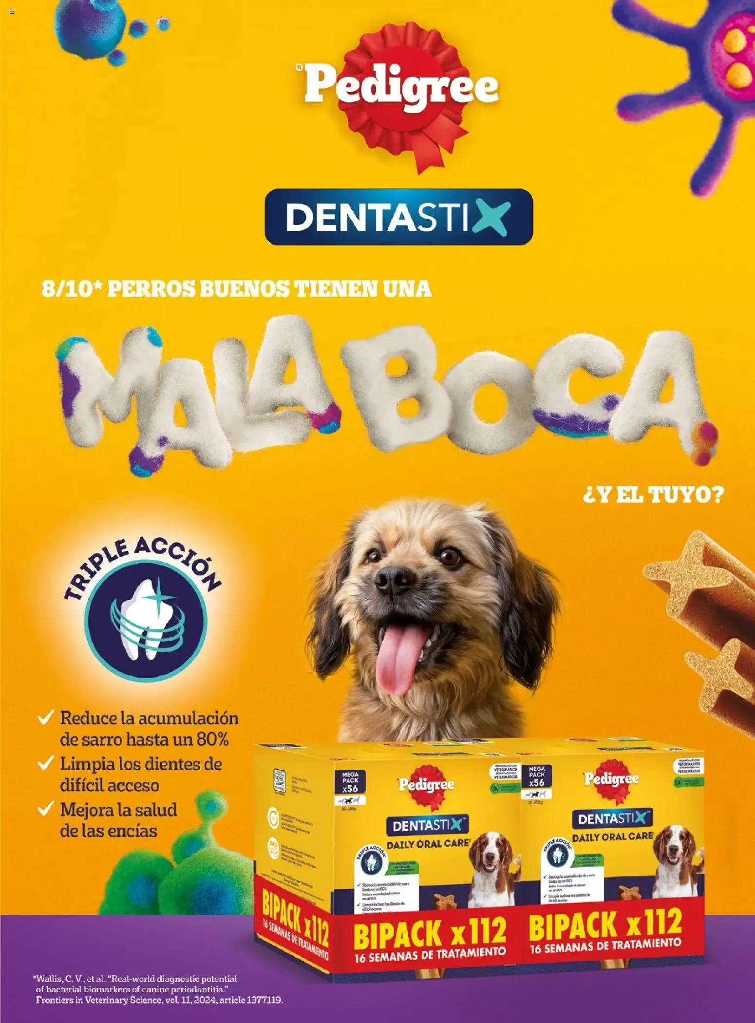 Catálogo de COSTCO Connection 15 de junio al 31 de octubre 2026 - Página 60