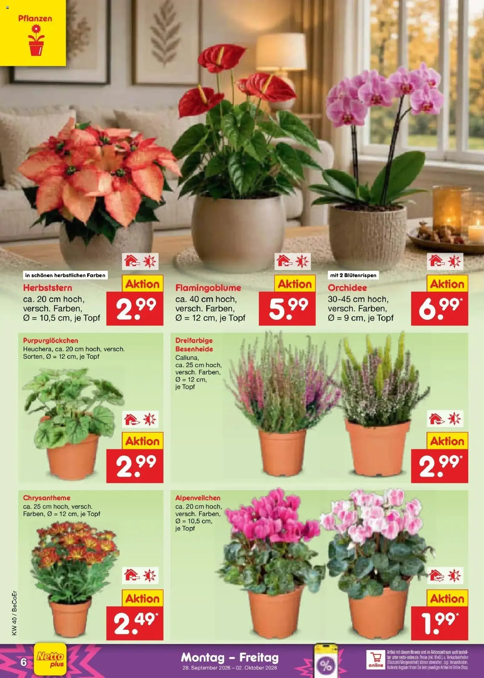Netto Marken-Discount Prospekt Leipzig (ab 28.09.2026) » Angebote von 28. September bis 2. Oktober 2026 - Prospekt seite 6