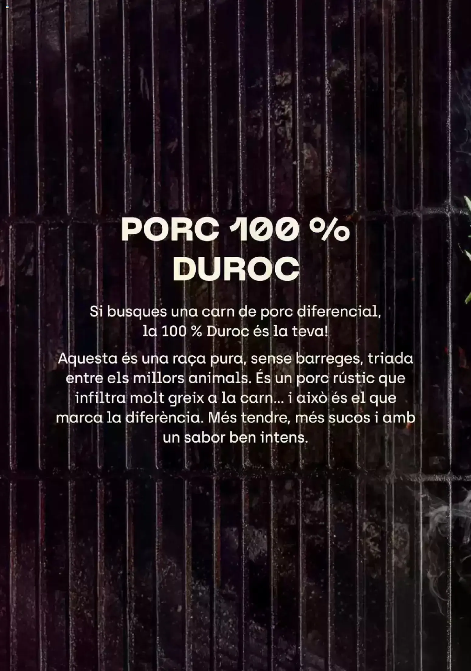 Catálogo de fa bo I SE'NS NOTA 4 de agosto al 31 de agosto 2026 - Página 15