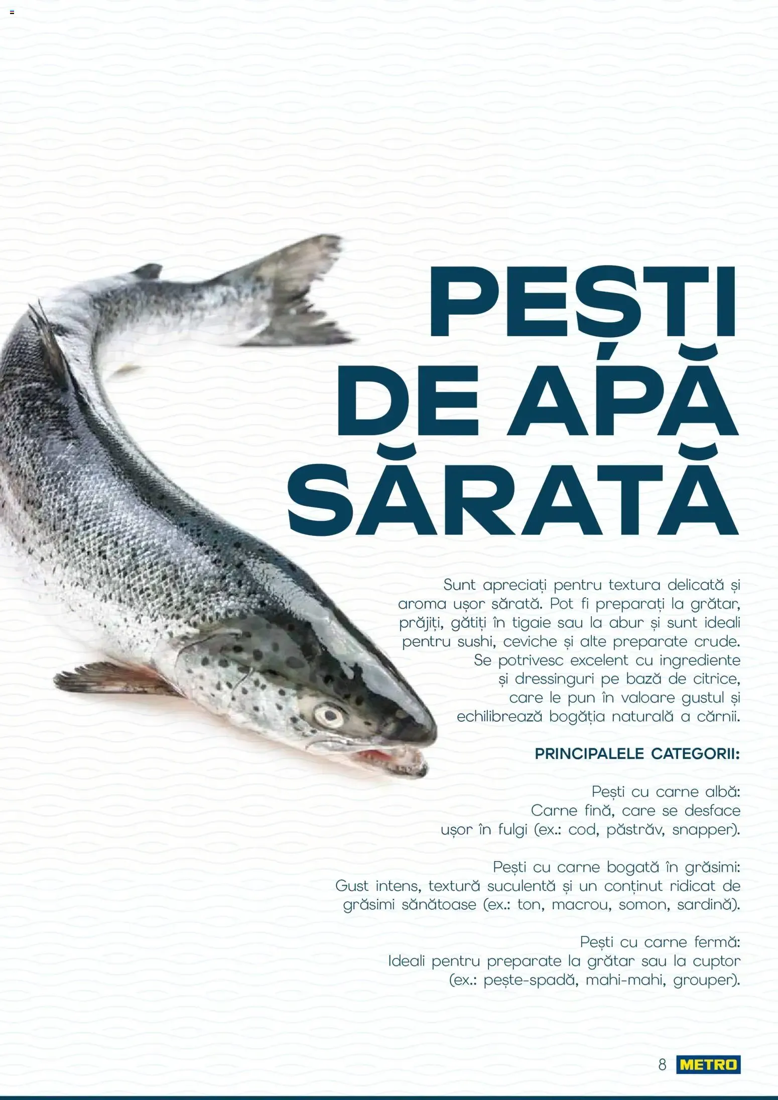 Catalog Metro Catalog Spui pește proaspăt, spui METRO - Oferta 01.10.2026 - 31.12.2026 de la 1 octombrie până la 31 decembrie 2026 - Revista Pagina 7