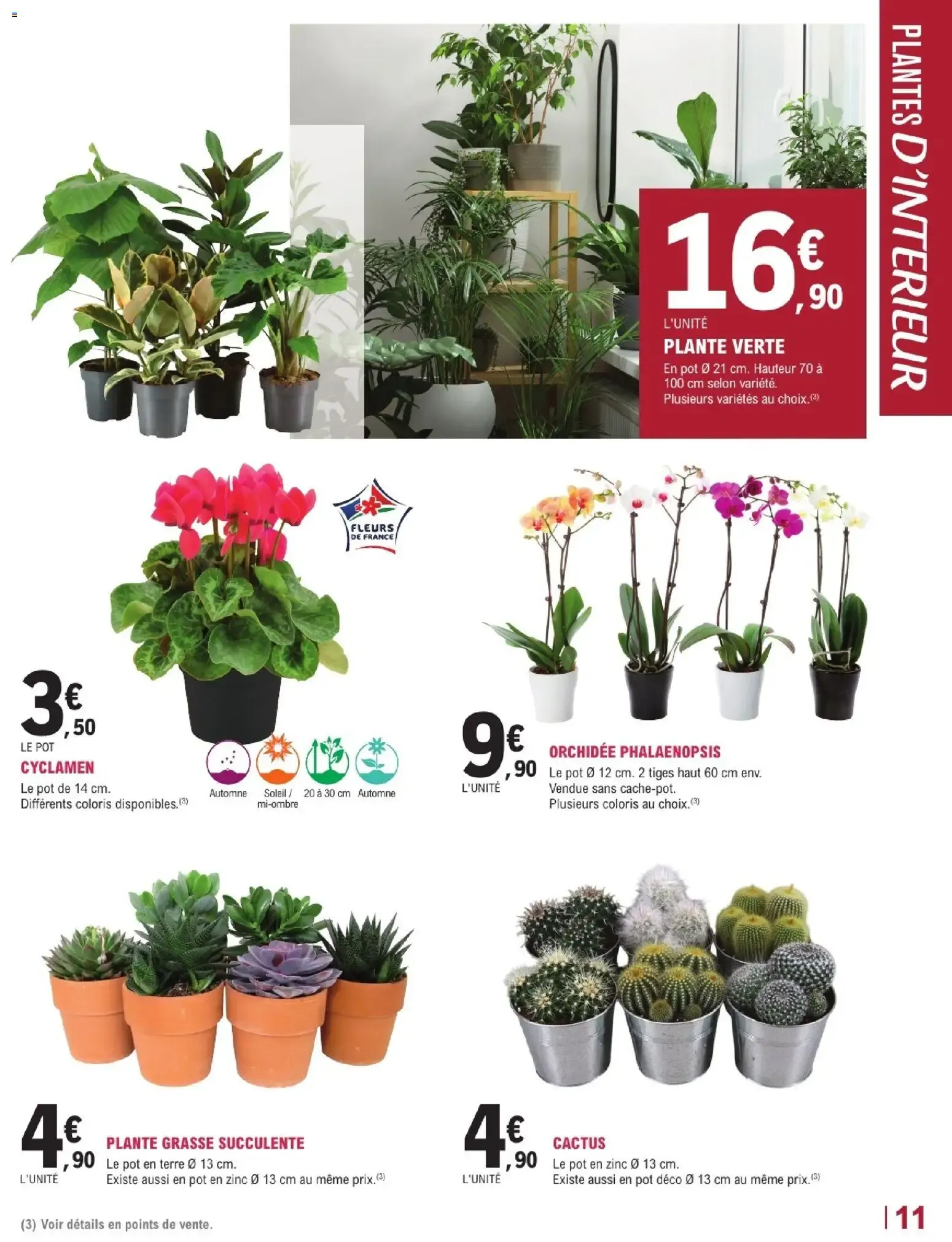 Brico E.Leclerc catalogue Jardi à partir du 13/10/2026 - promo en ligne du 13 octobre au 24 octobre 2026 - Catalogue page 11