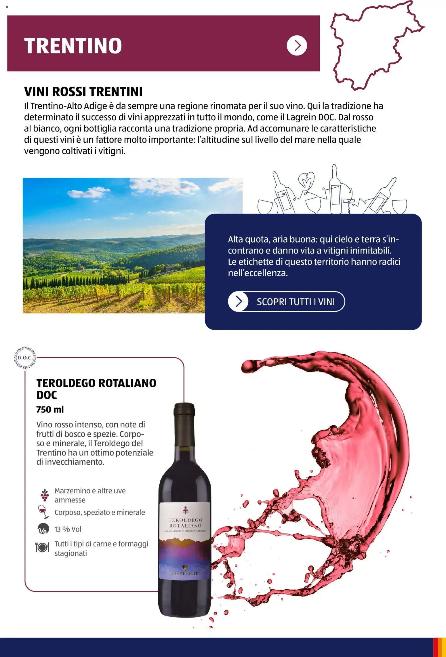 ALDI Vinoteca: Dalla Terra al Calice da 12 gennaio a 31 dicembre di 2026 - Pagina del volantino 17