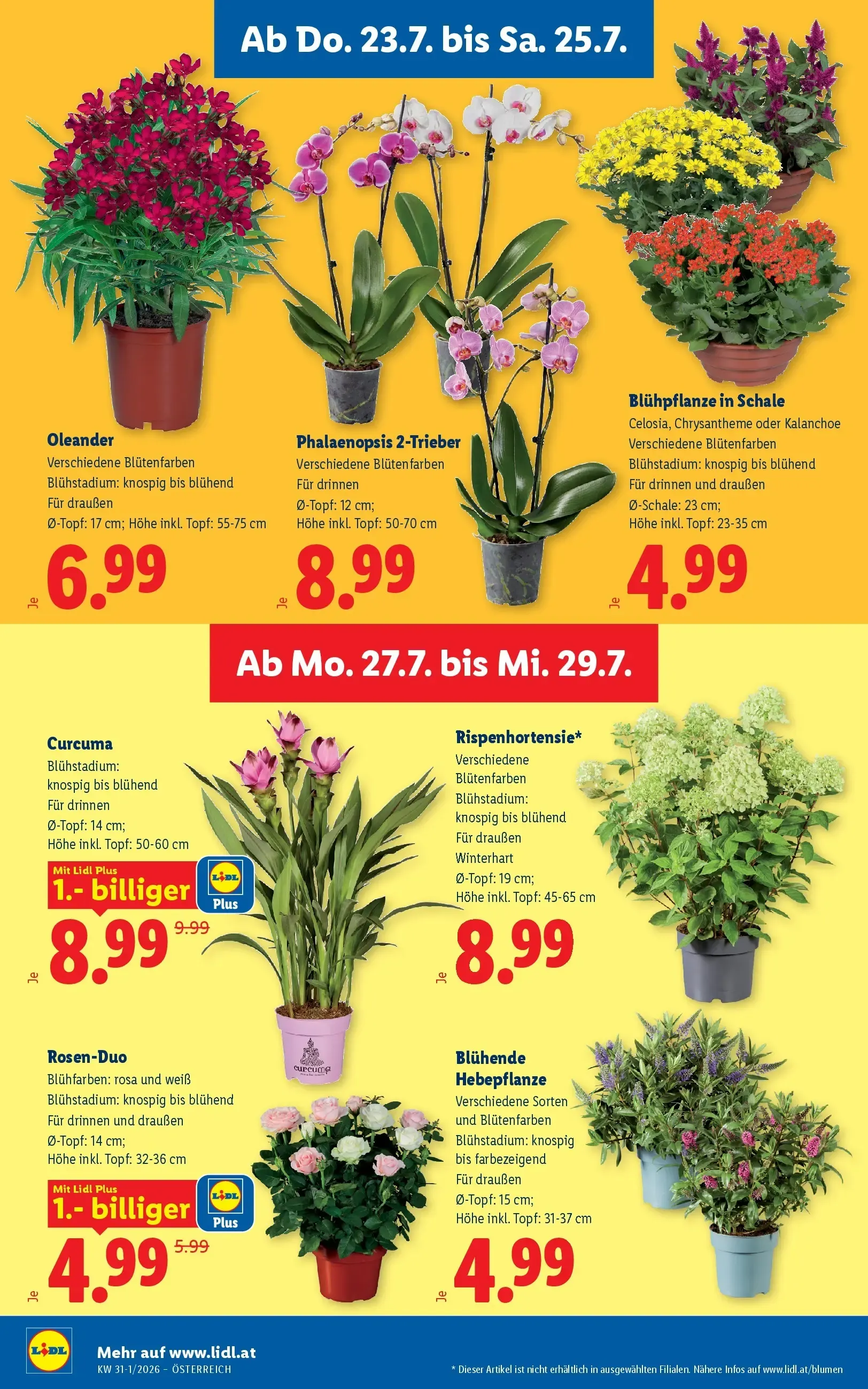 Lidl - Lidl ab 23.07.2026 - Angebote ab donnerstag von 23. Juli bis 25. Juli 2026 - Flugblätt seite  30