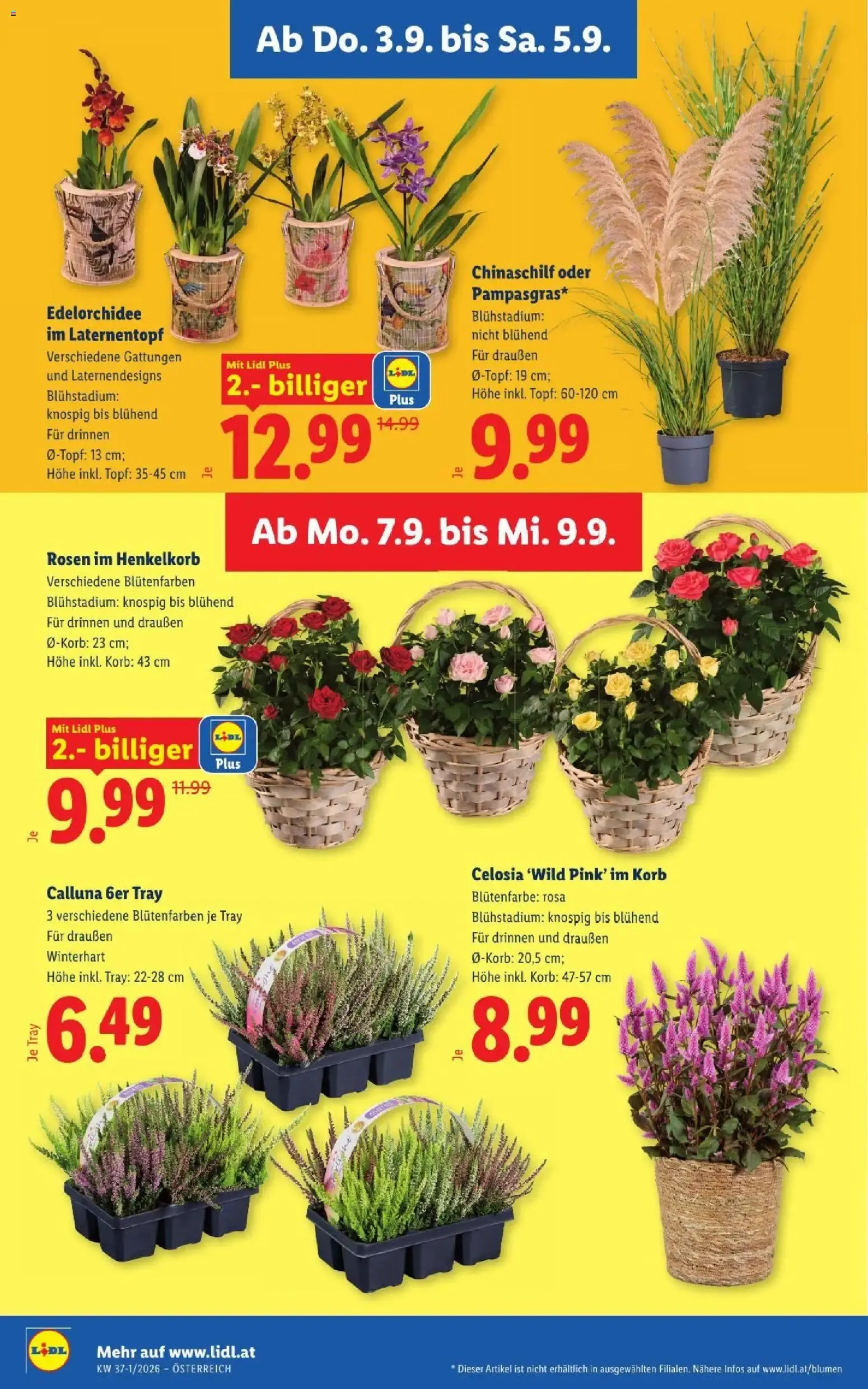 Lidl - Flugblatt ab 03.09.2026 - Angebote ab donnerstag von 3. September bis 5. September 2026 - Flugblätt seite  28