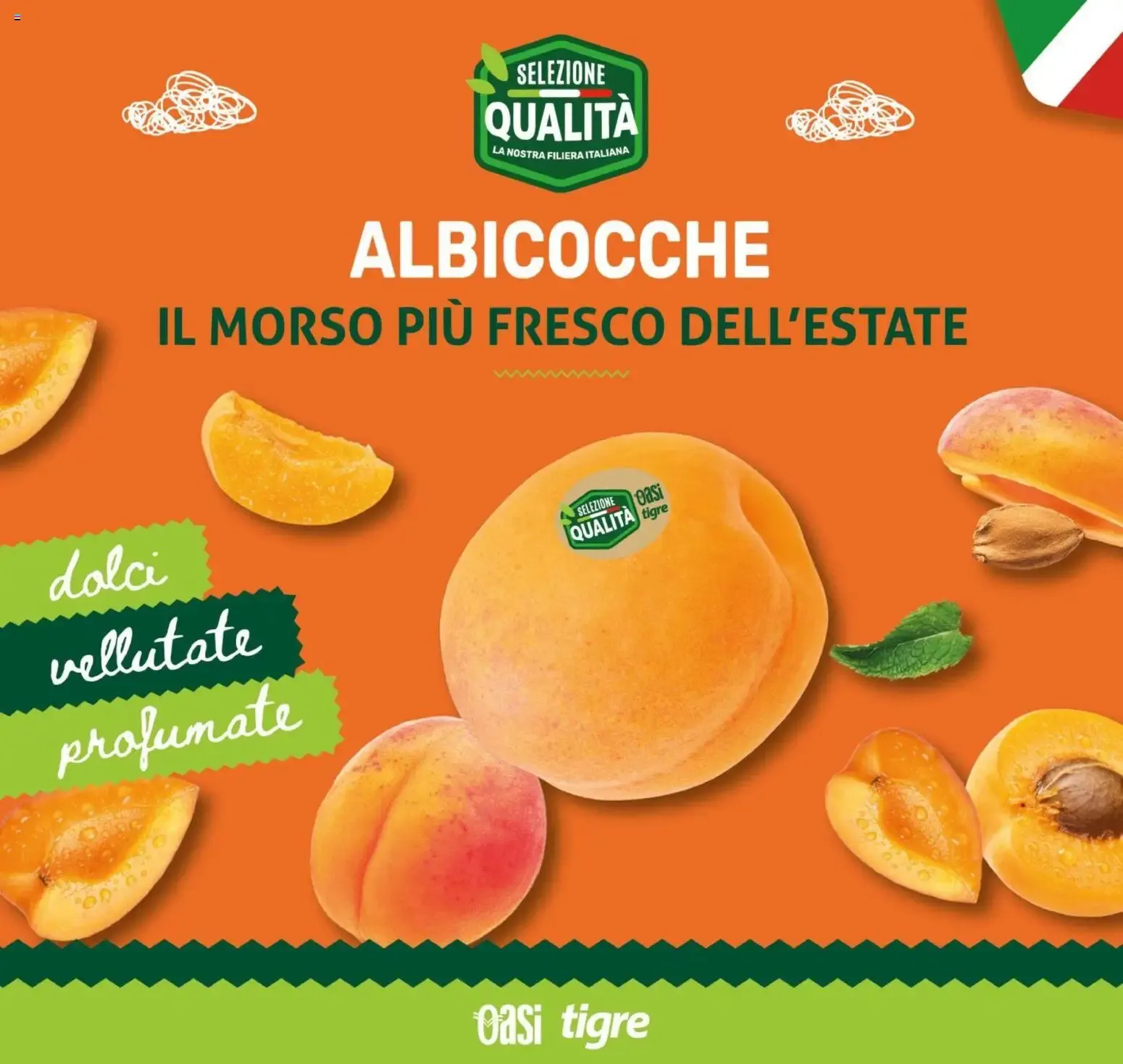 Nuovo Tigre volantino Cesano dal 16/07/2026 > offerte anteprima 🛍️ da 16 luglio a 28 luglio di 2026 - Pagina del volantino 11