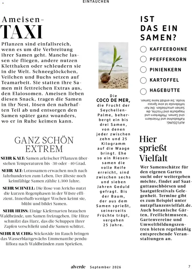 dm Magazin alverde von 1. September bis 30. September 2026 - Prospekt seite 7