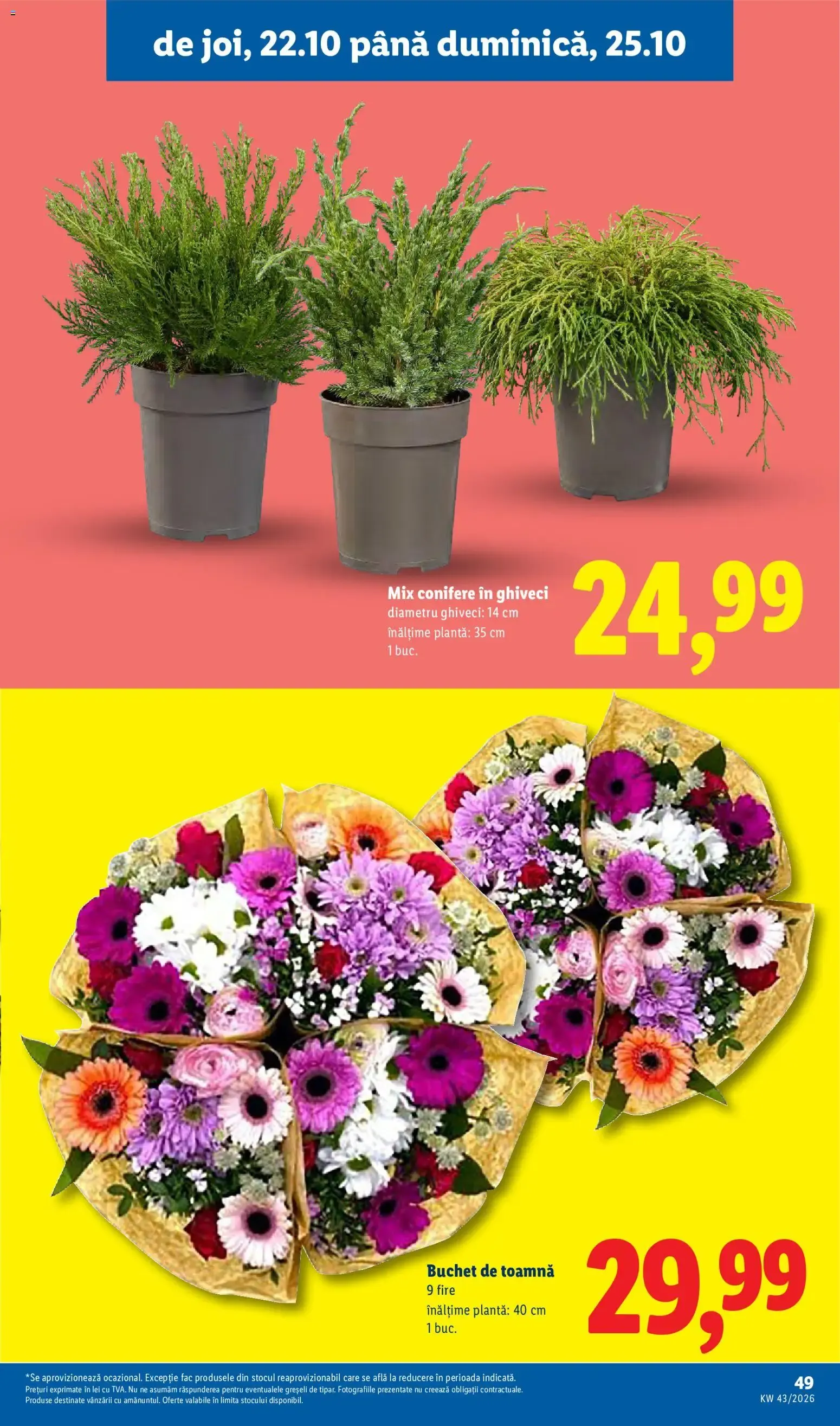 Catalog Catalog LIDL 19.10.2026 - Oferta și Revista online de la 19 octombrie până la 25 octombrie 2026 - Revista Pagina 48
