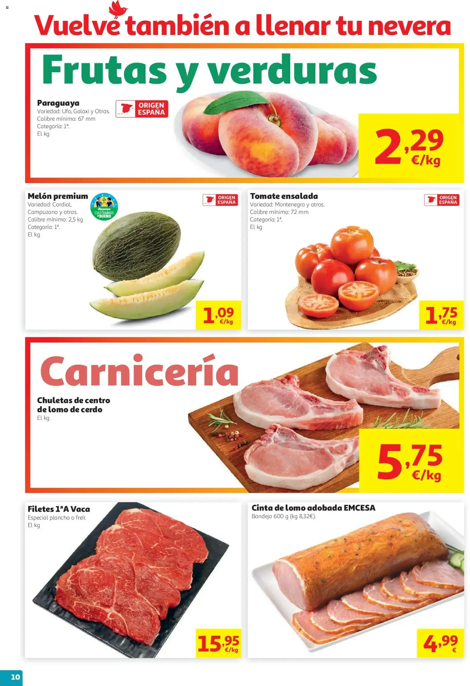 Catálogo de Sales ganando - Vuelta al Cole 13 de agosto al 26 de agosto 2026 - Página 10