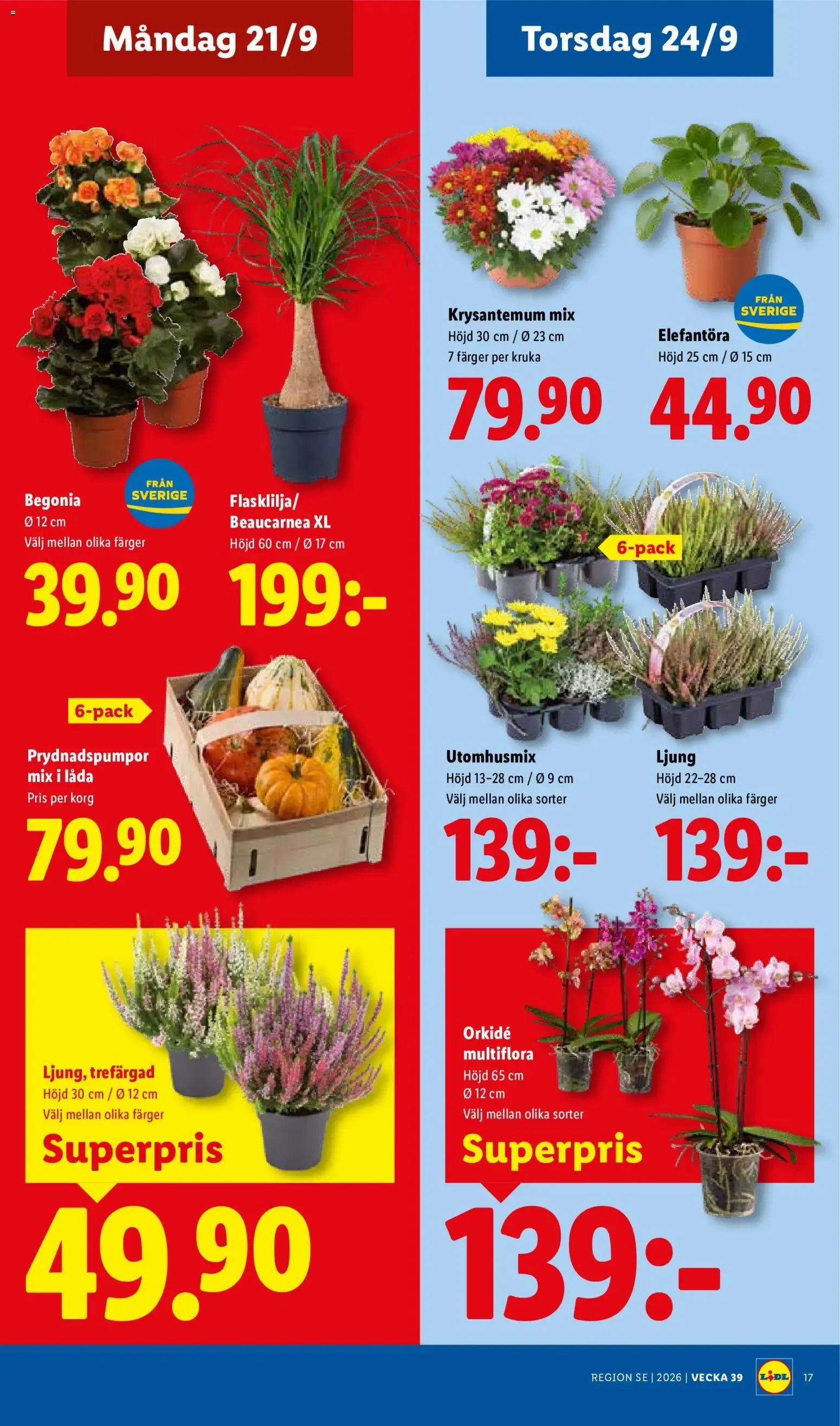 Lidl erbjudanden från 21/09/2026 - 27/09/2026 > Reklamblad nuvarande rabatter från 21 september till 27 september 2026 - Reklamblad sidor 20