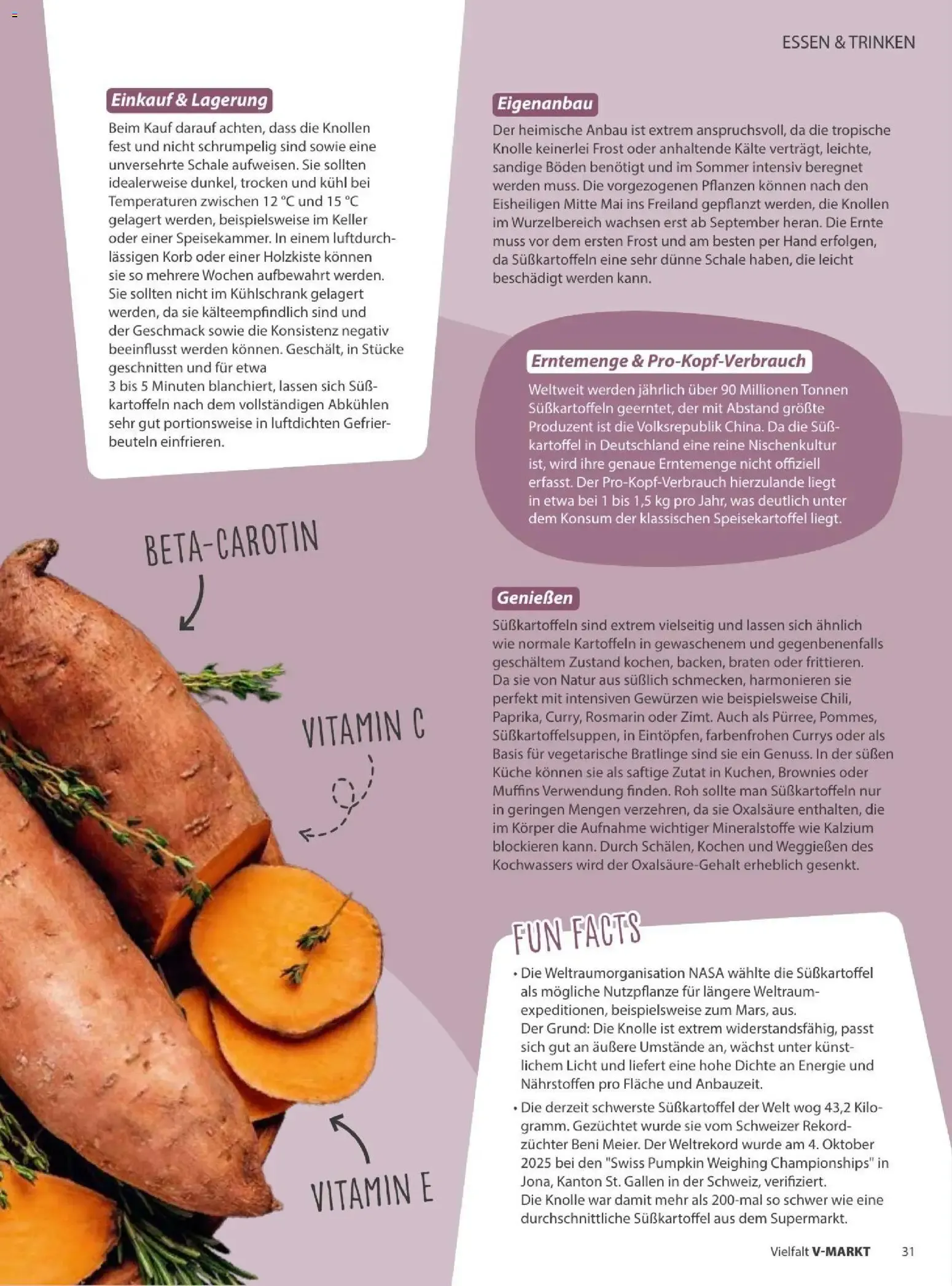 V-Markt Vielfatt von 1. September bis 31. Oktober 2026 - Prospekt seite 31