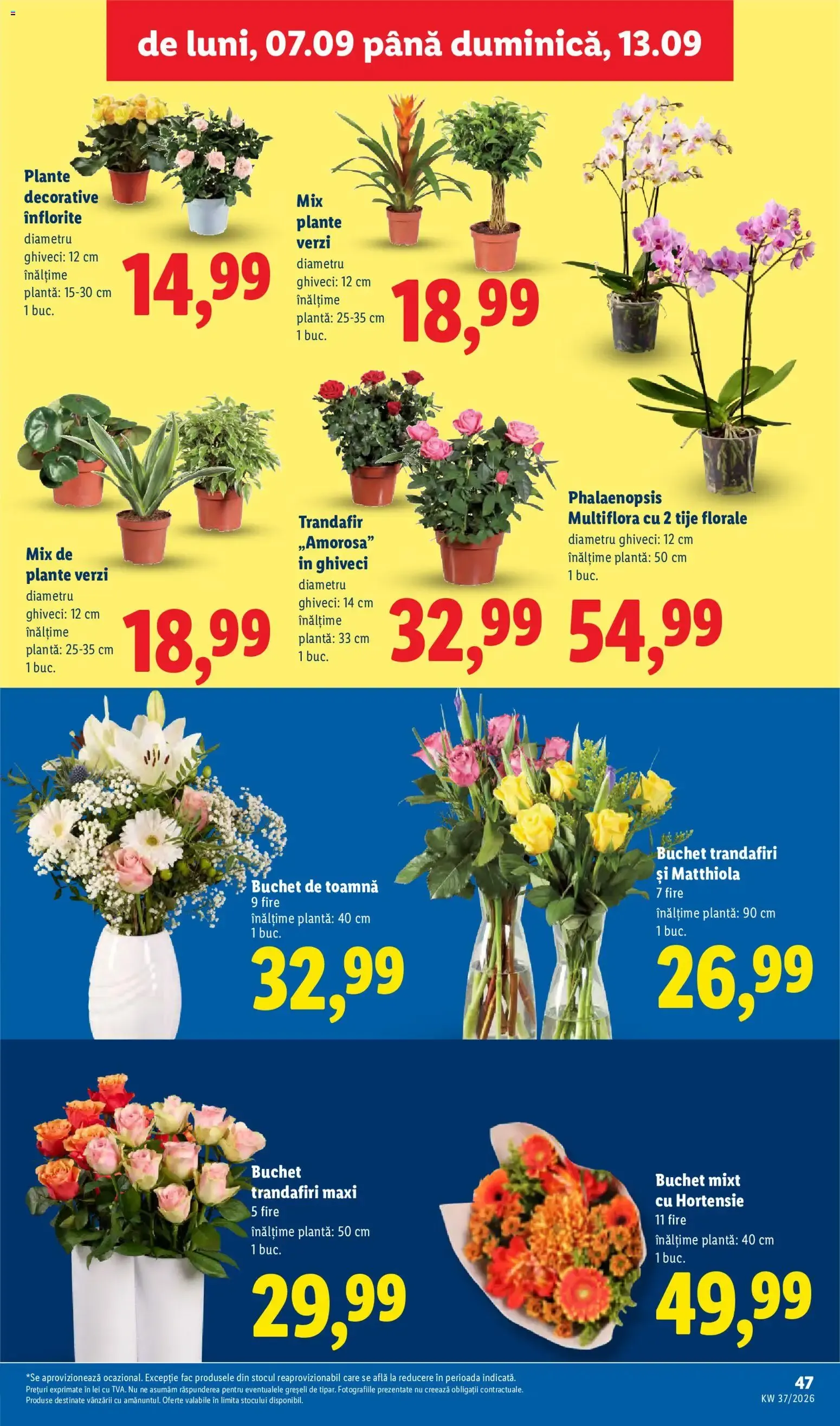 Catalog Catalog LIDL 07.09.2026 - Oferta și Revista online de la 7 septembrie până la 13 septembrie 2026 - Revista Pagina 47