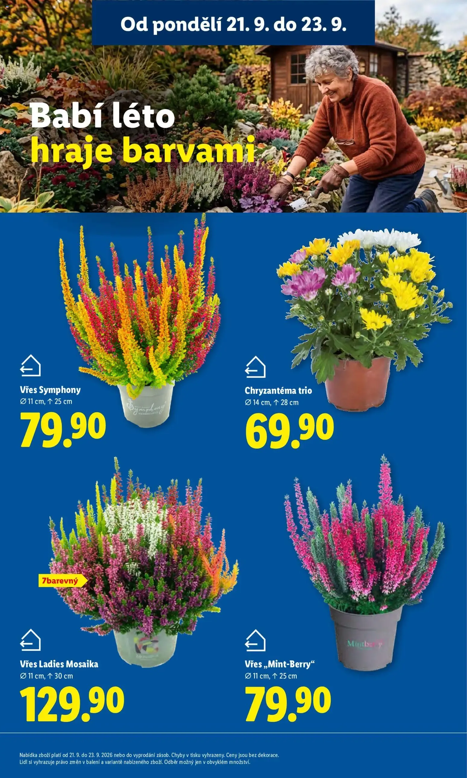 Lidl leták od 21.09.2026 - Nový akční leták - 21. září 23. září 2026 - Page 13