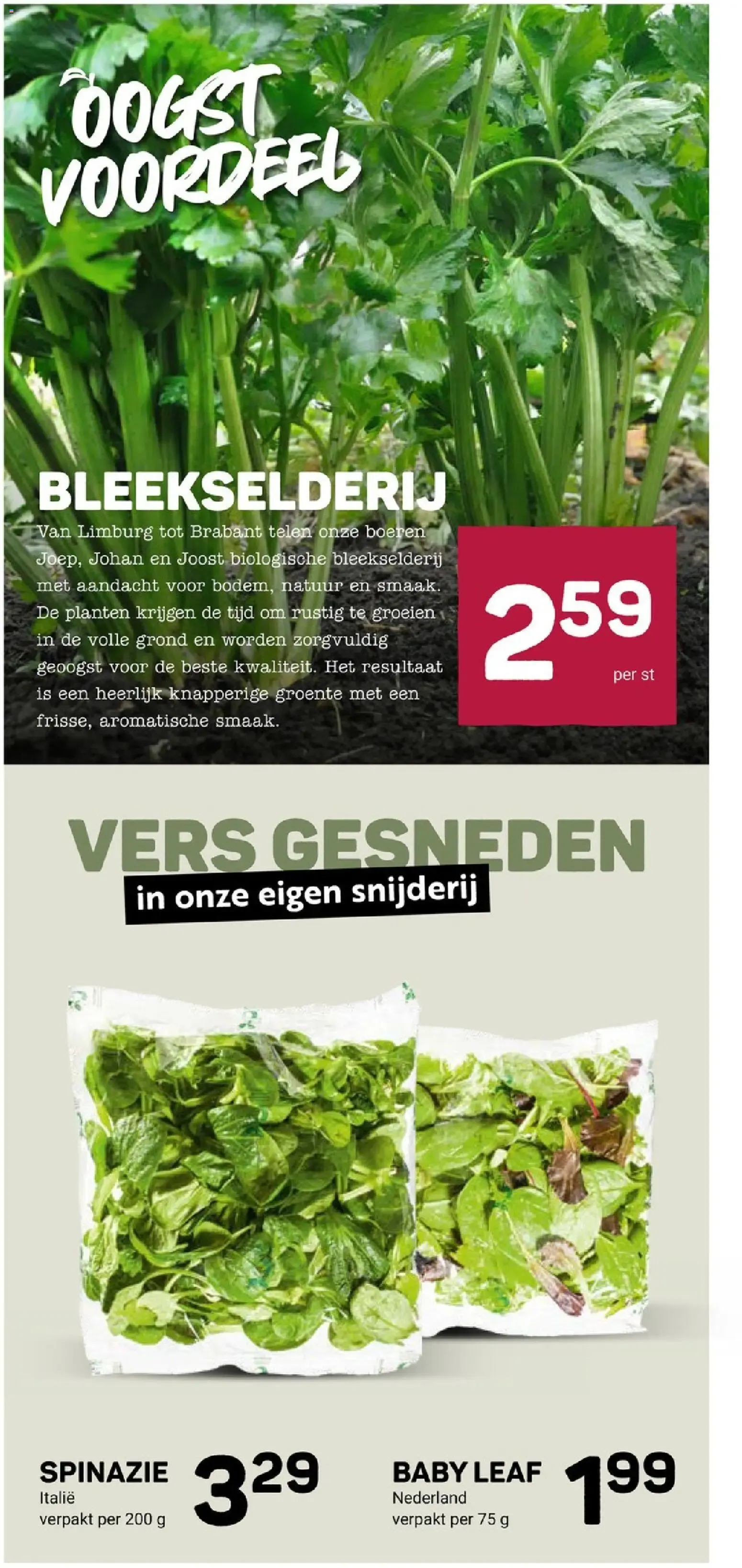 Groene KRACHT- PATSERS van 17 juni tot 23 juni 2026 - Folder pagina 5