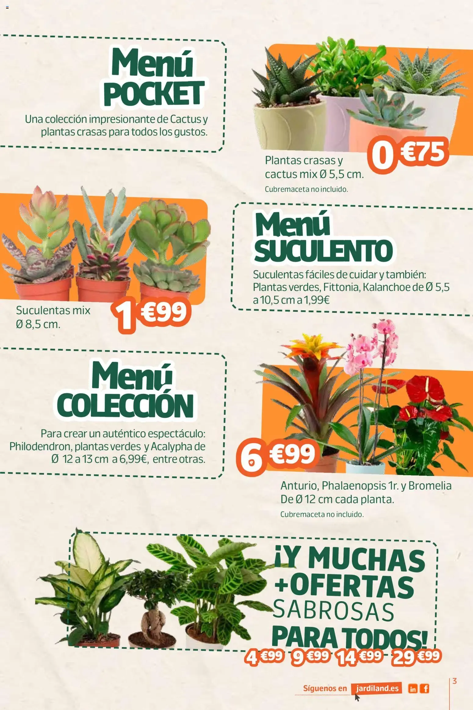 Catálogo de Jardiland folleto 27/08/2026 - 07/09/2026 27 de agosto al 7 de septiembre 2026 - Página 3