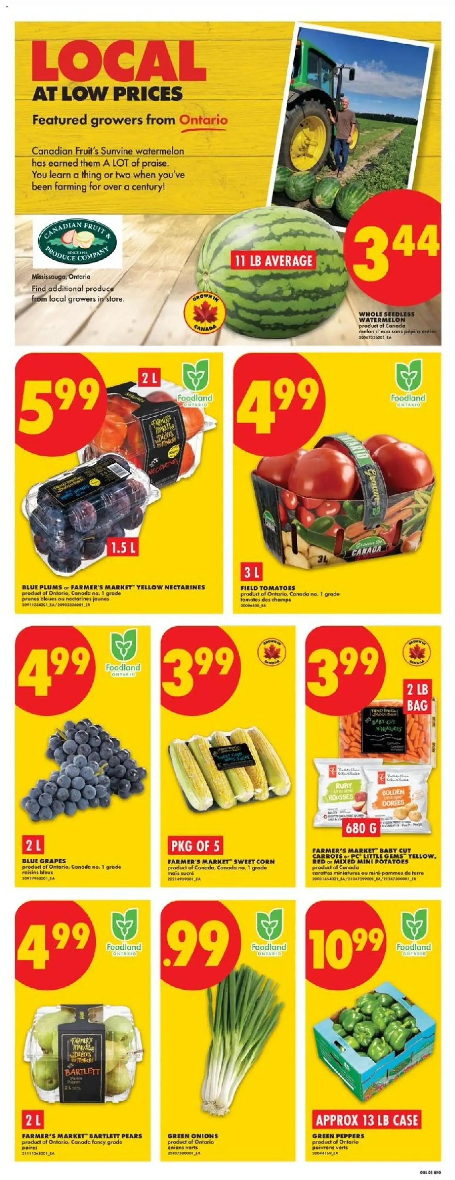 No Frills weekly flyer - ON from Sep 3, 2026 > weekly specials & deals from September 3 to September 9 2026 - flyer page 3