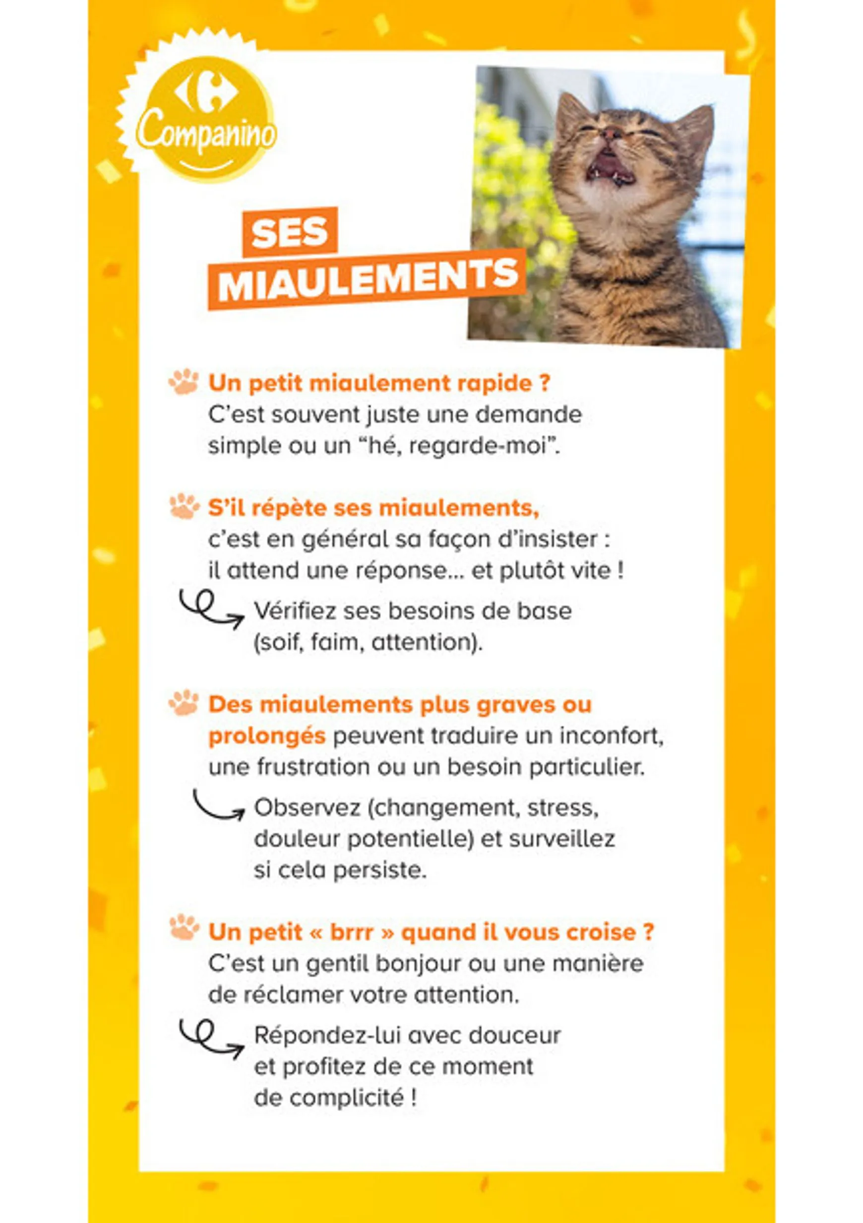 Current Carrefour Market - Découvrez la Marque Carrefour Companino leaflet valid from du mardi 04/08/2026 to du lundi 07/09/2026 du 4 août au 7 septembre 2026 - Catalogue page 13