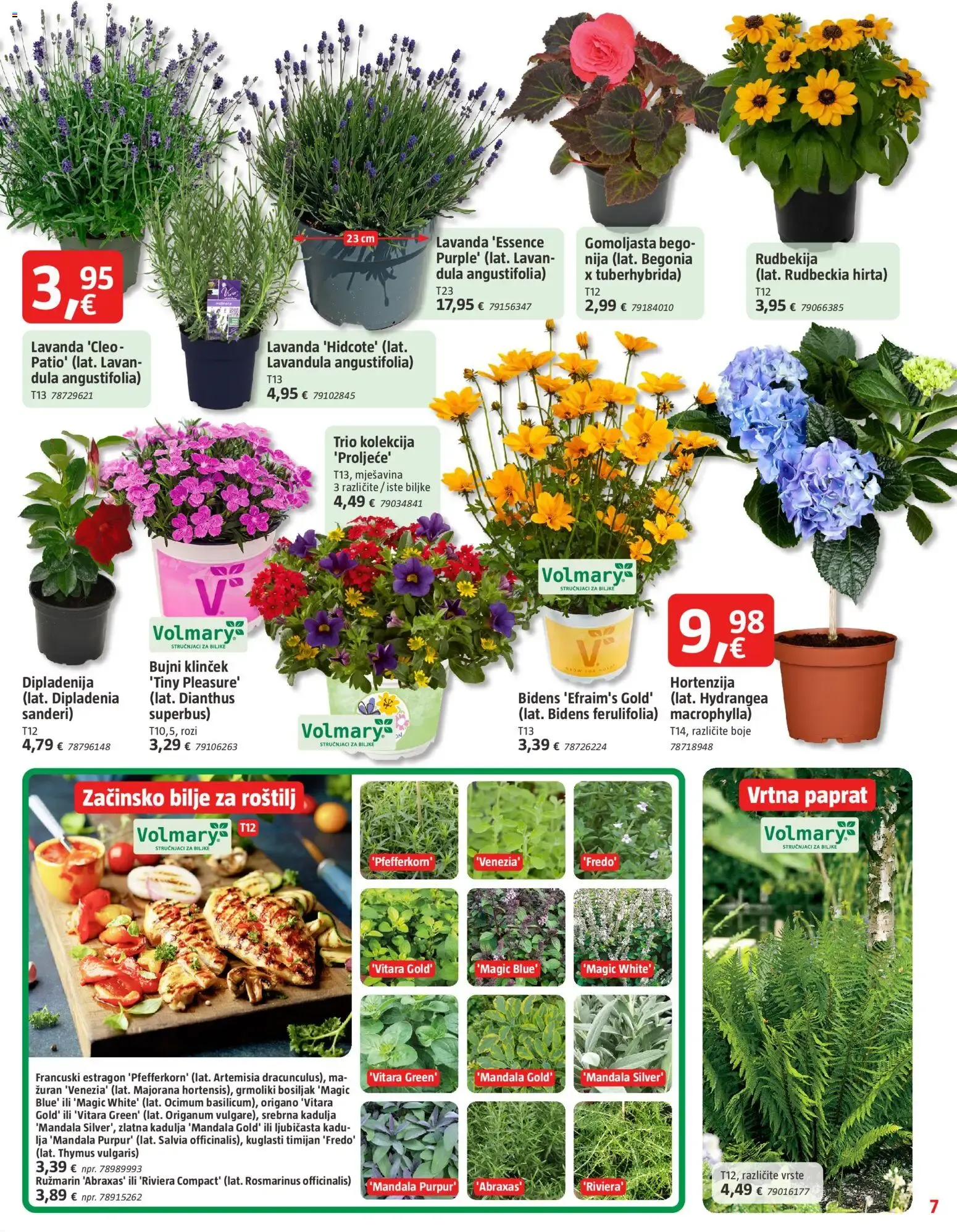 Katalog Bauhaus Katalog novi od 03.06.2026 na listanje > letak digitalni od 3. lipnja do 16. lipnja 2026. - Pregled Stranica 7