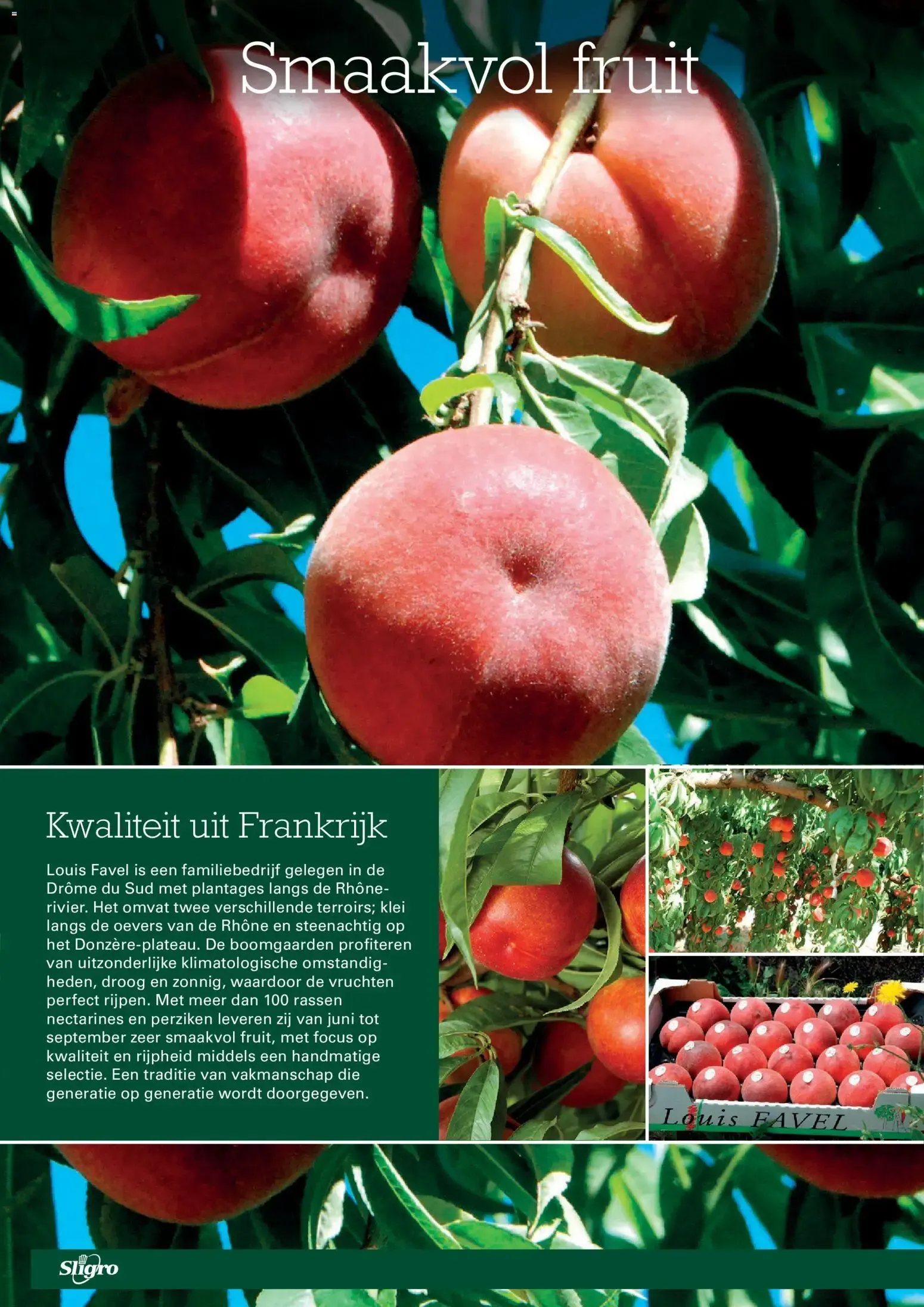 Sligro | Vannamei garnalen van 2 juli tot 20 juli 2026 - Folder pagina 10