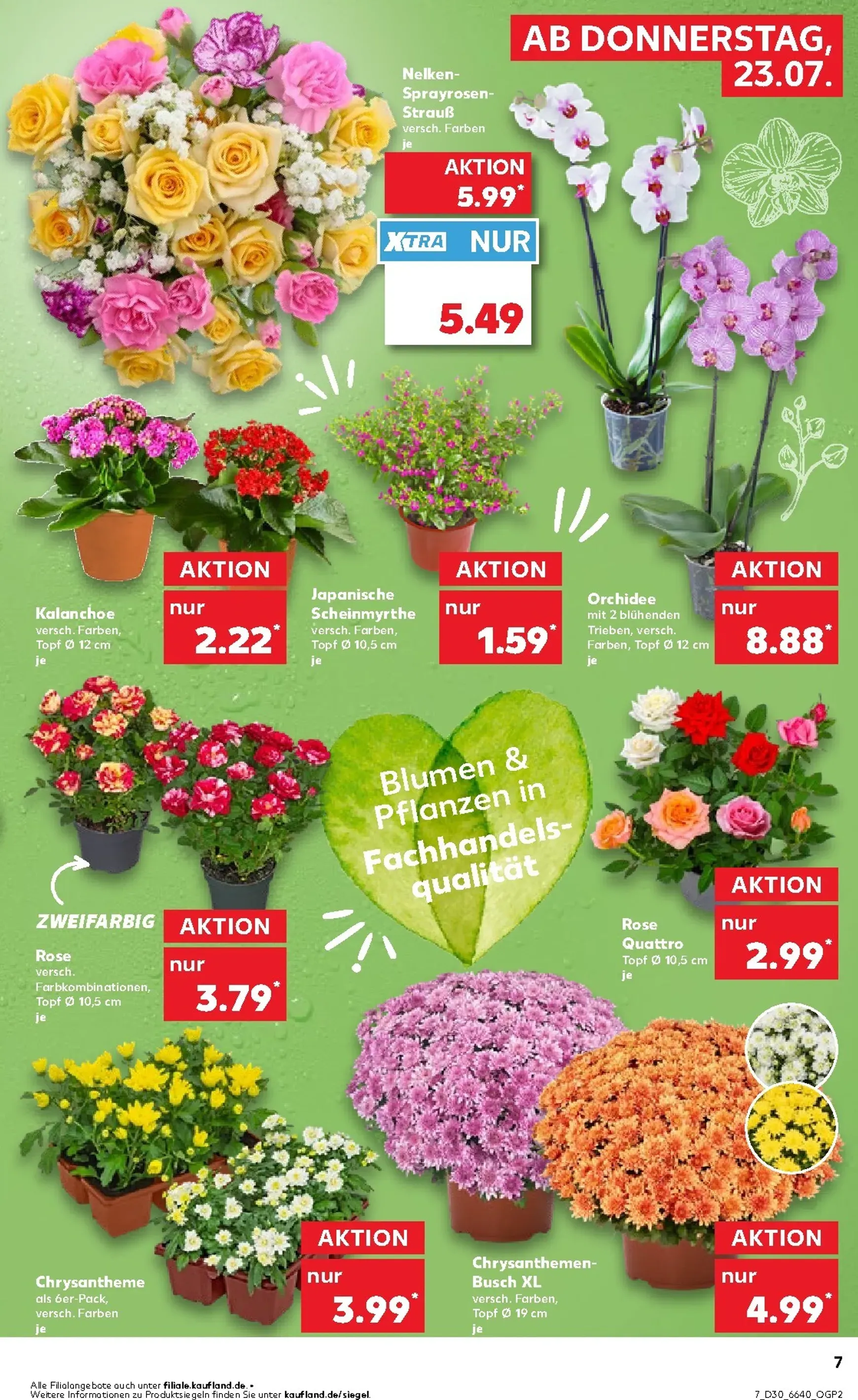 Kaufland Prospekt nächste Woche – von Donnerstag 23.07.2026 bis Mittwoch 29.07.2026 von 23. Juli bis 29. Juli 2026 - Prospekt seite 8