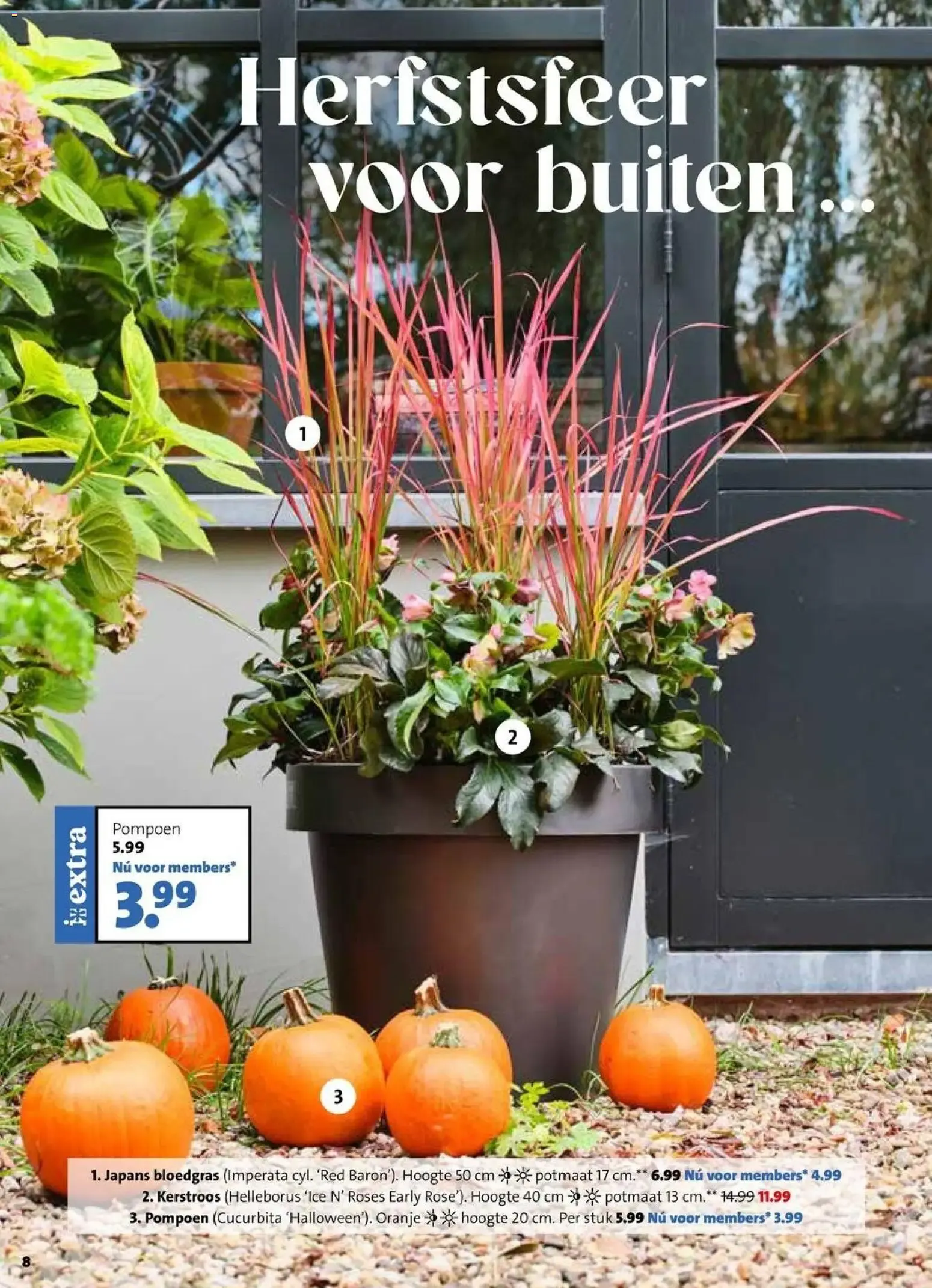 Stijlvol het seizoen in van 12 oktober tot 18 oktober 2026 - Folder pagina 8