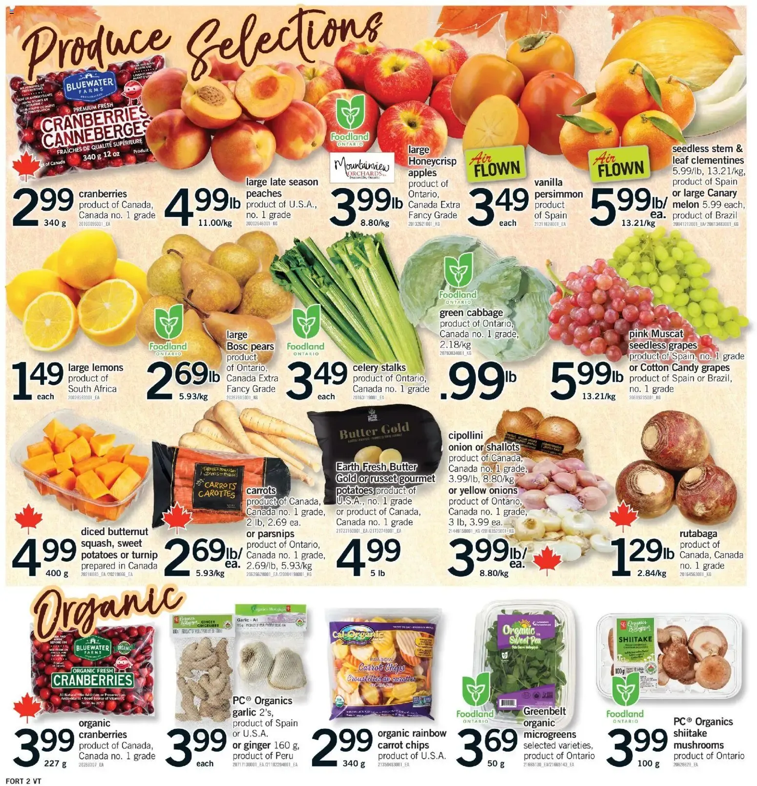 Fortinos Thanksgiving Weekly Flyer (Oct 9-11, 2020) from October 9 to October 11 2020 - flyer page 3