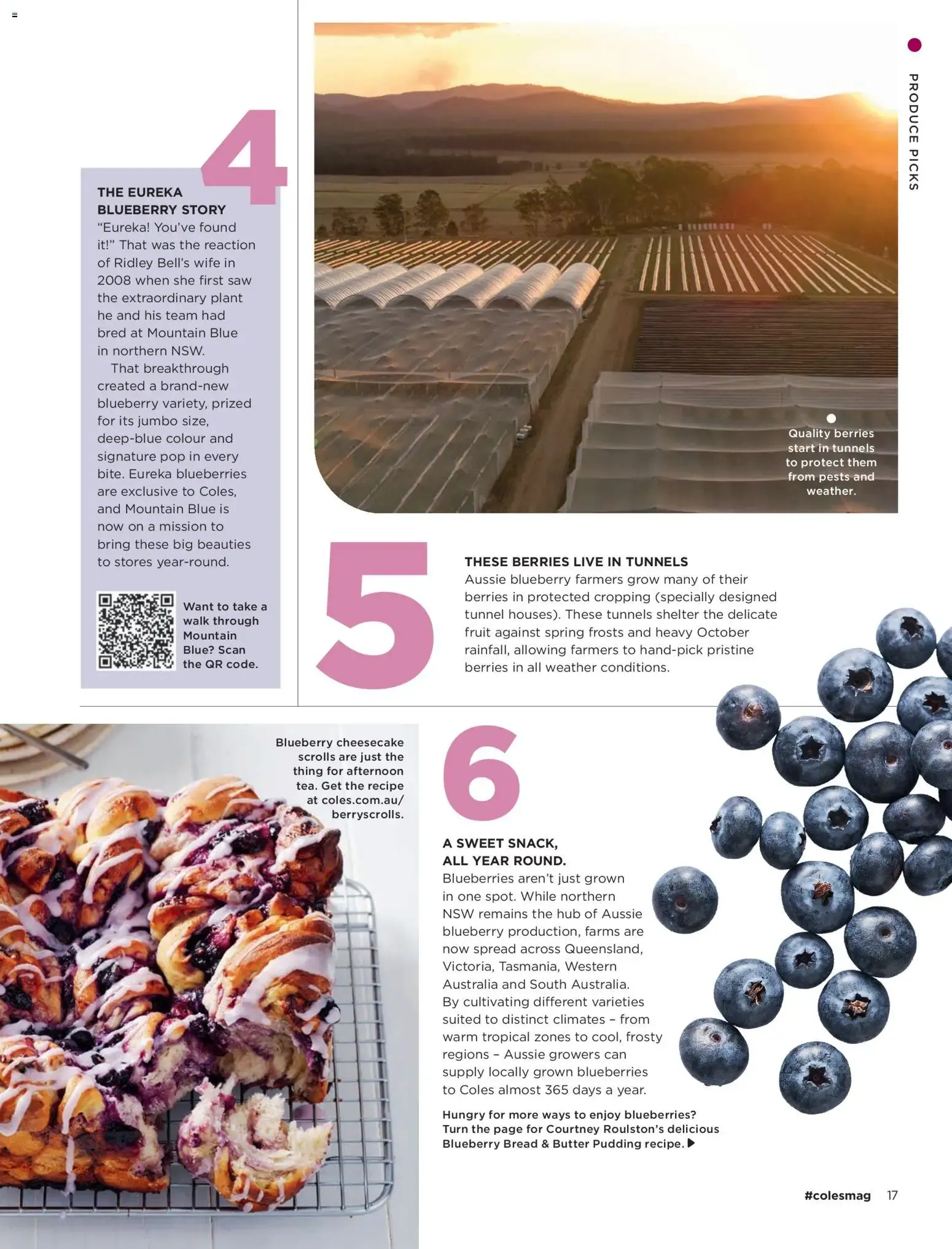 Coles Catalogue | October 2026 - Catalogue valid from 1 October to 31 October 2026 - page 17