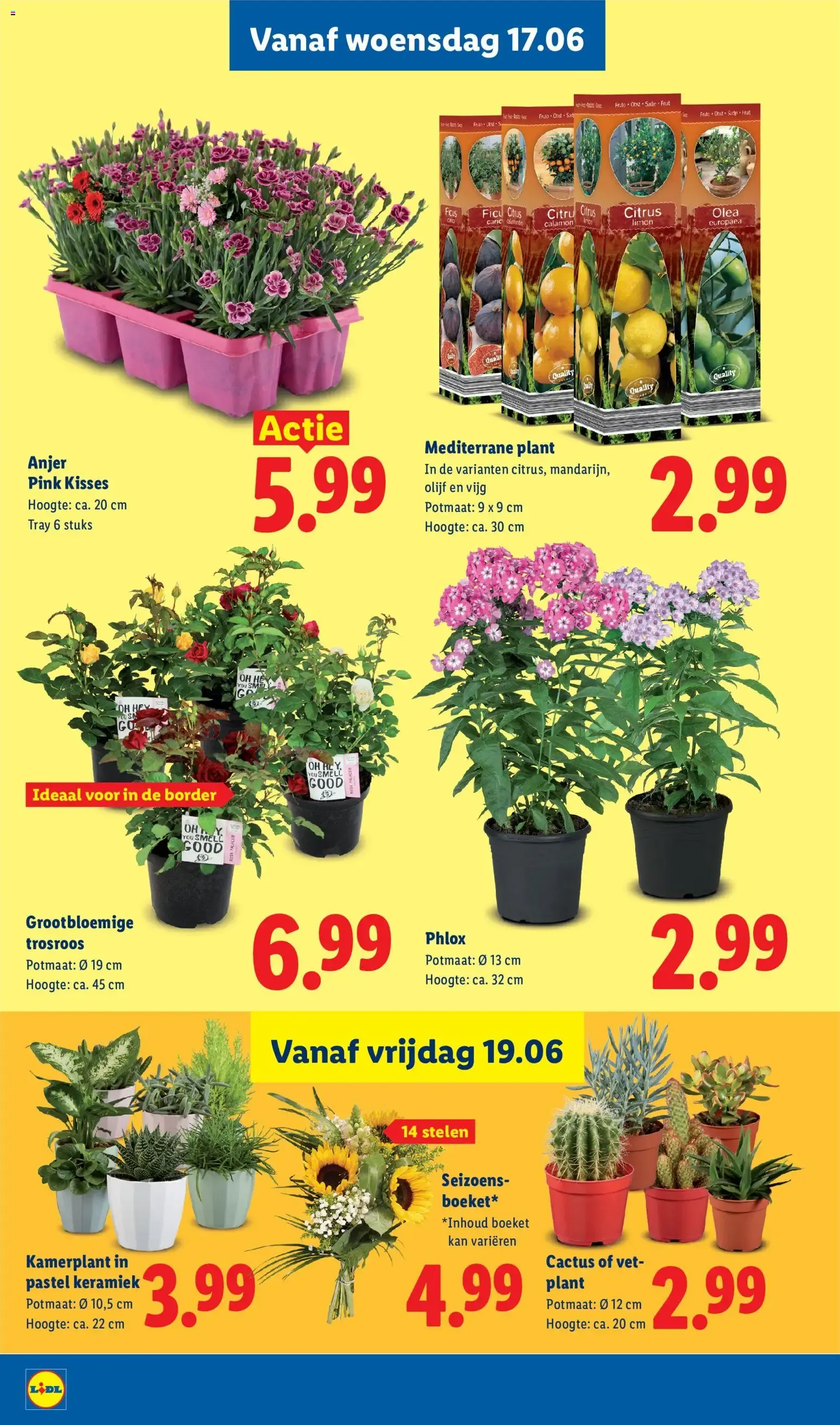 Lidl folder vanaf 15-06-2026 -- NIEUWE van 15 juni tot 21 juni 2026 - Folder pagina 19