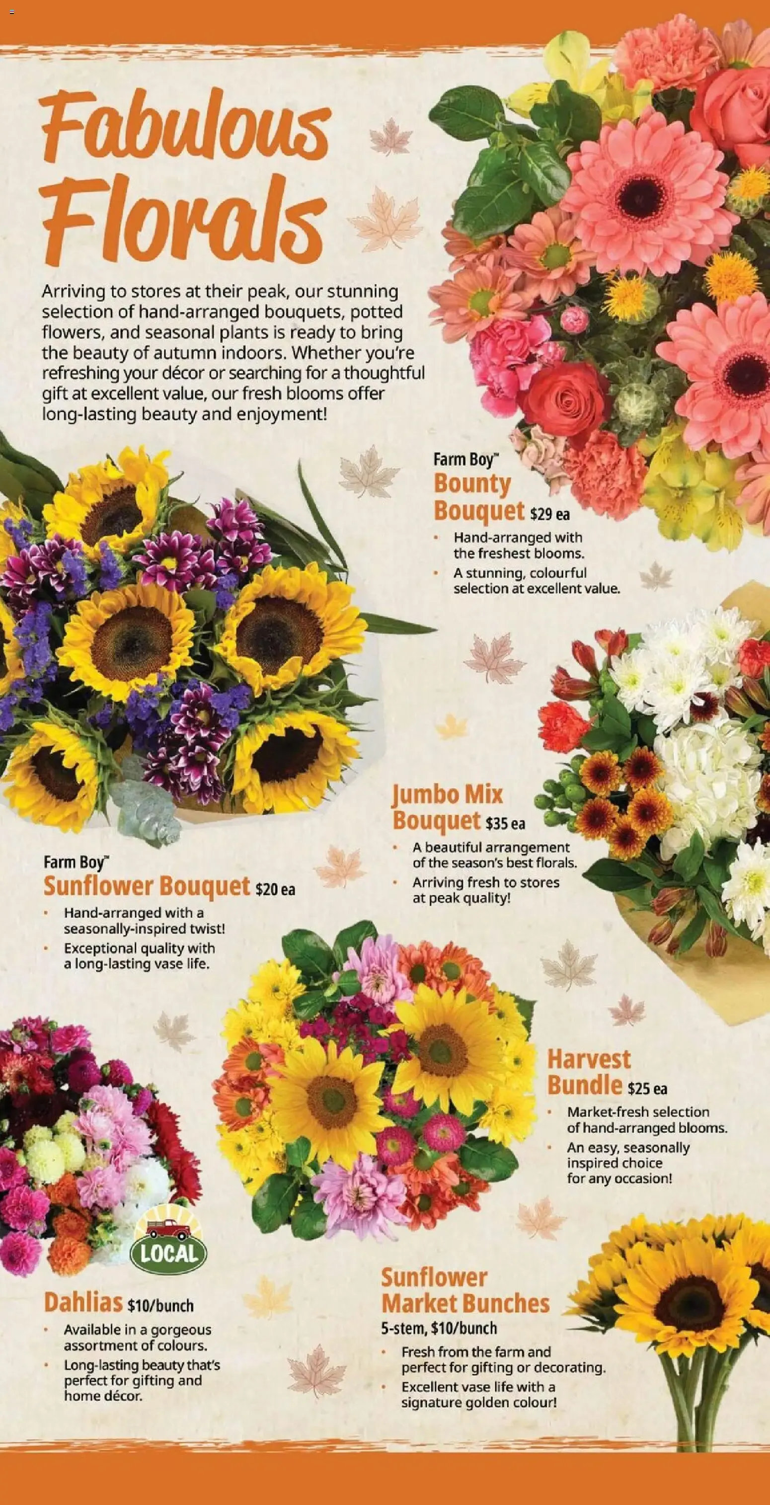 Farm Boy Fresh Specials from August 27 to September 2 2026 - flyer page 7
