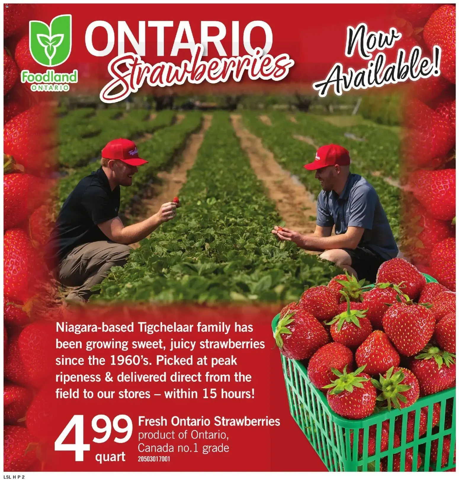 Loblaws flyer - ON from Jun 11, 2026 > weekly specials & deals from June 11 to June 17 2026 - flyer page 8