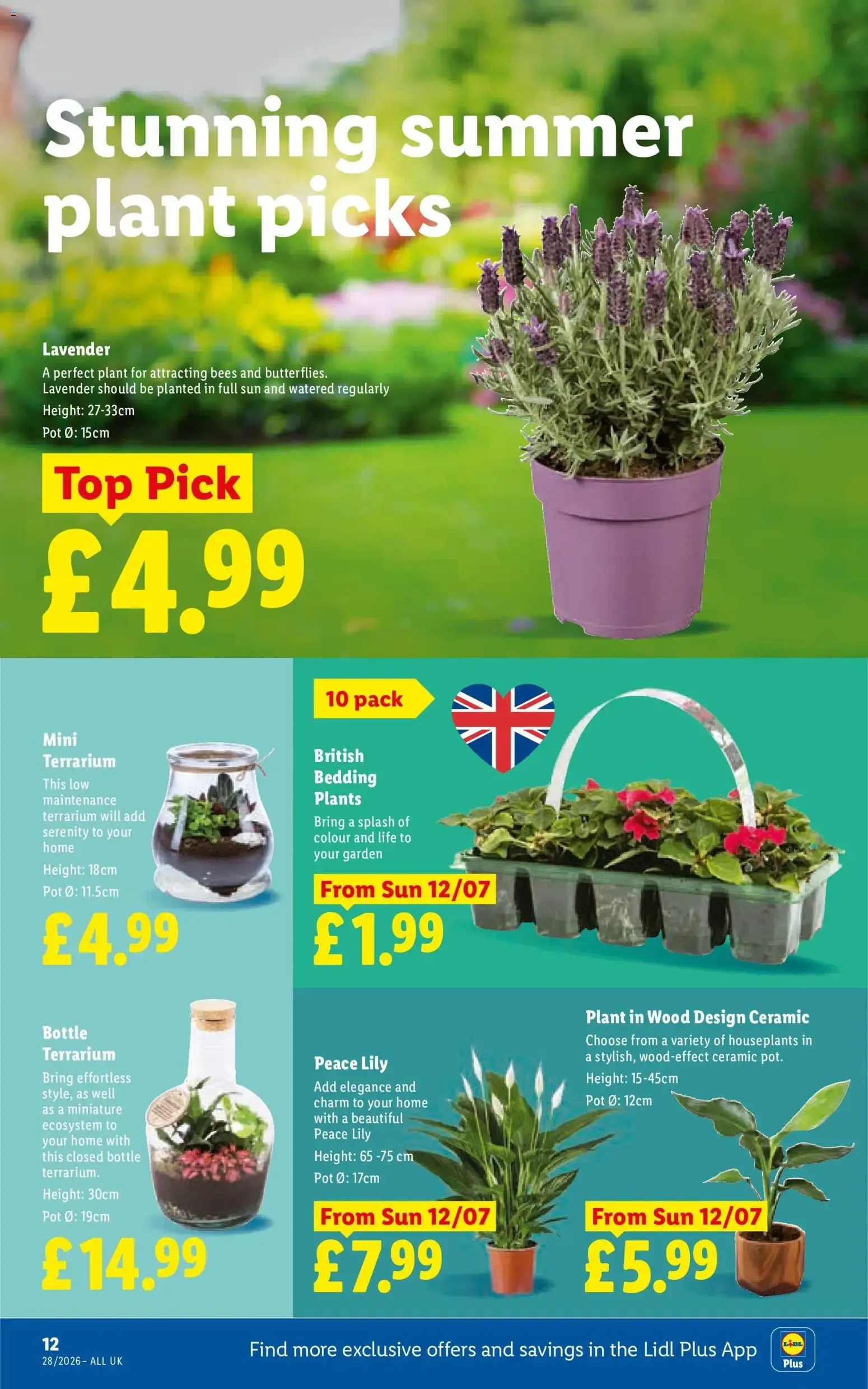 Folleto de ofertas Lidl from 9 July to 15 July 2026 - Catalogue Page 14