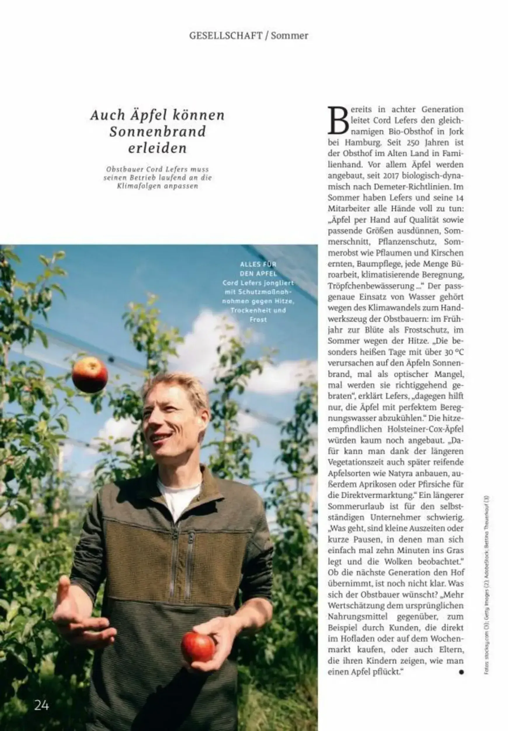 Centaur Magazin (Rossmann) von 1. August bis 31. August 2026 - Prospekt seite 25