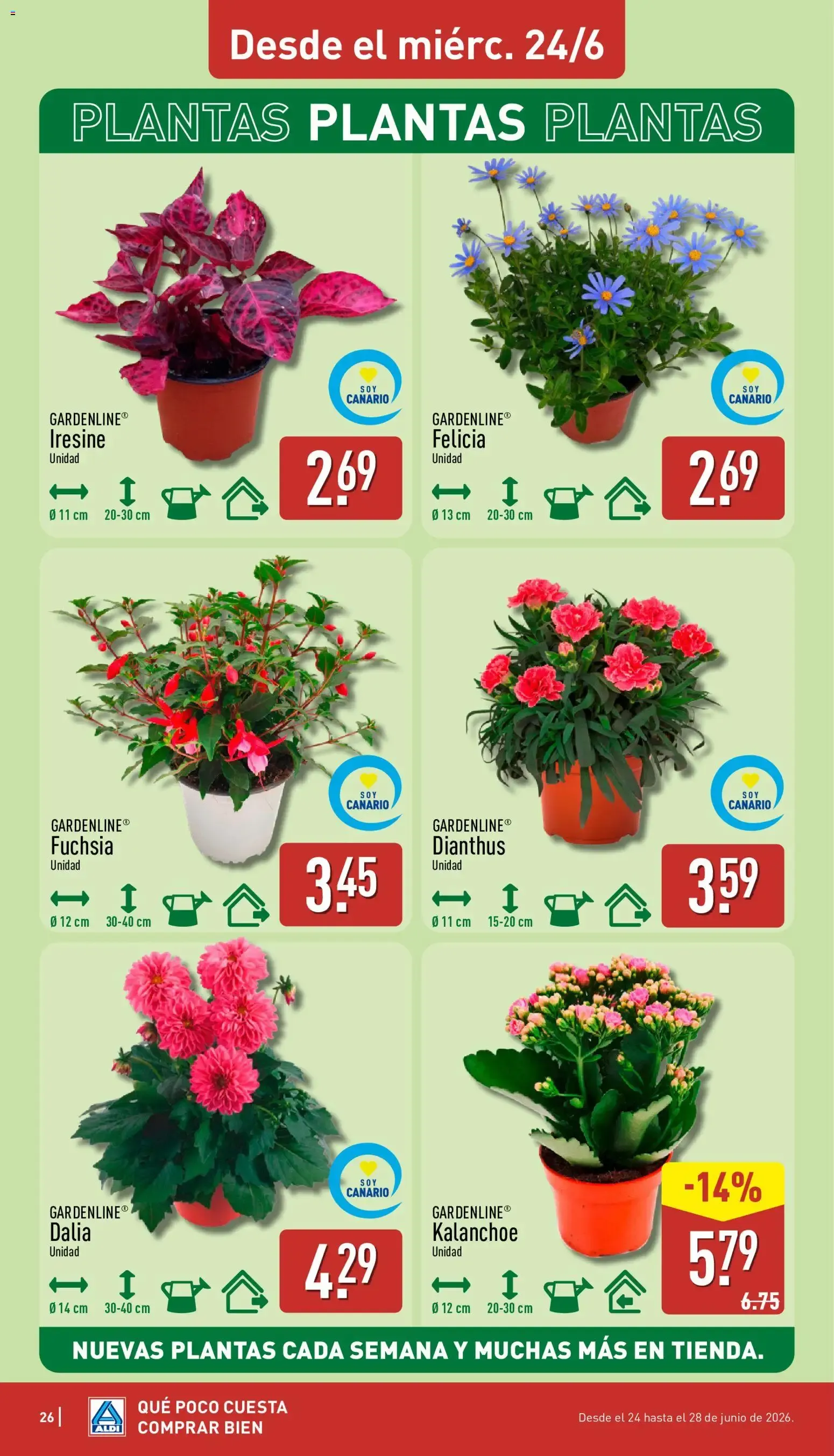 Catálogo de Aldi folleto Canarias del 22/06/2026 | Catálogo 22 de junio al 28 de junio 2026 - Página 26