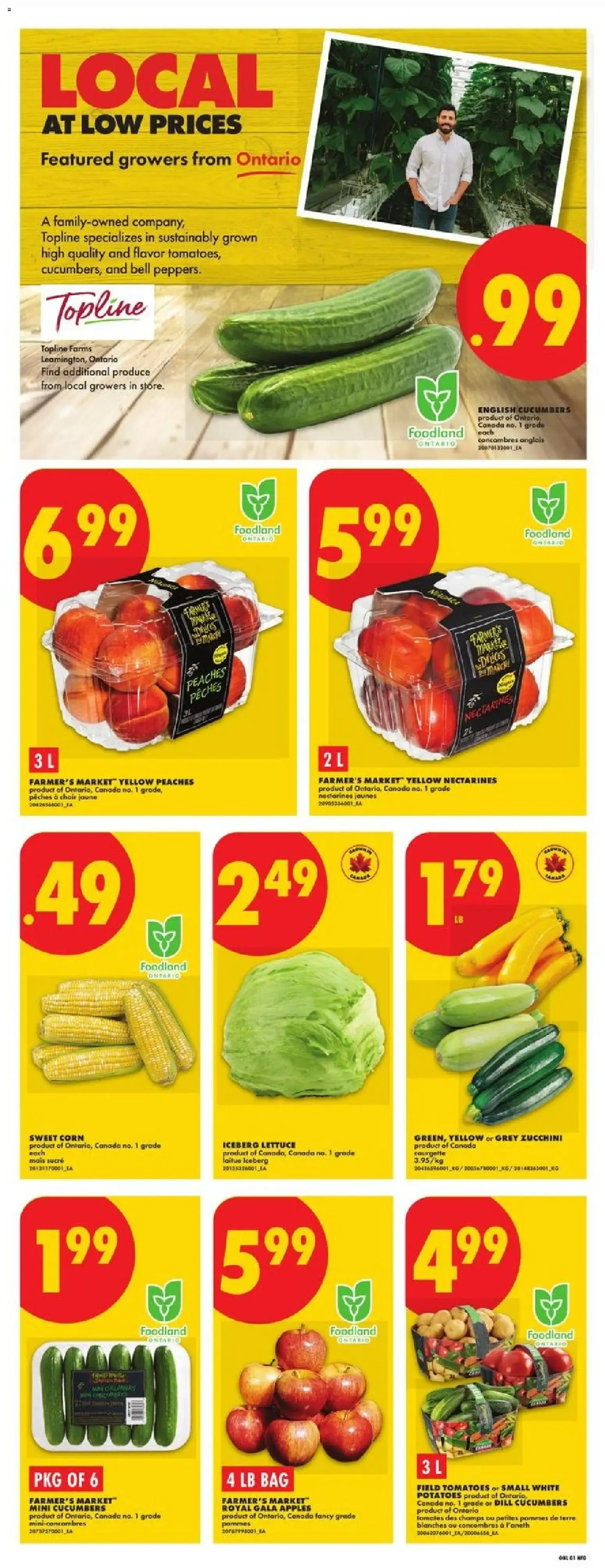 No Frills weekly flyer / circulaire from Aug 6, 2026 > weekly specials & deals from August 6 to August 12 2026 - flyer page 3