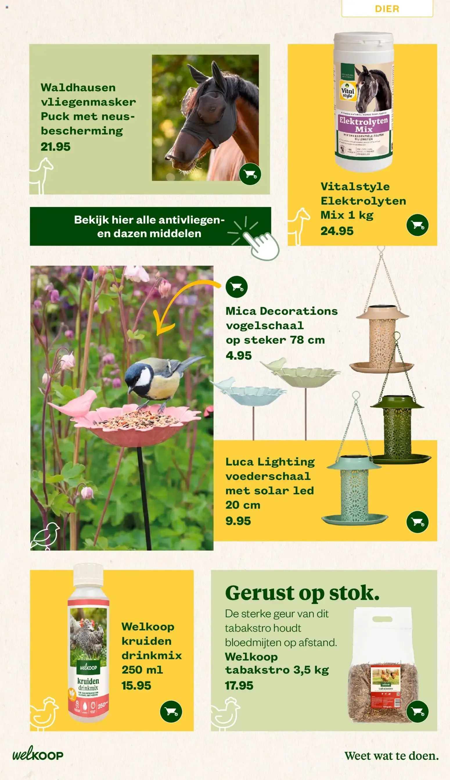 Welkoop Zomermagazine 2026 van 22 juni tot 23 augustus 2026 - Folder pagina 19