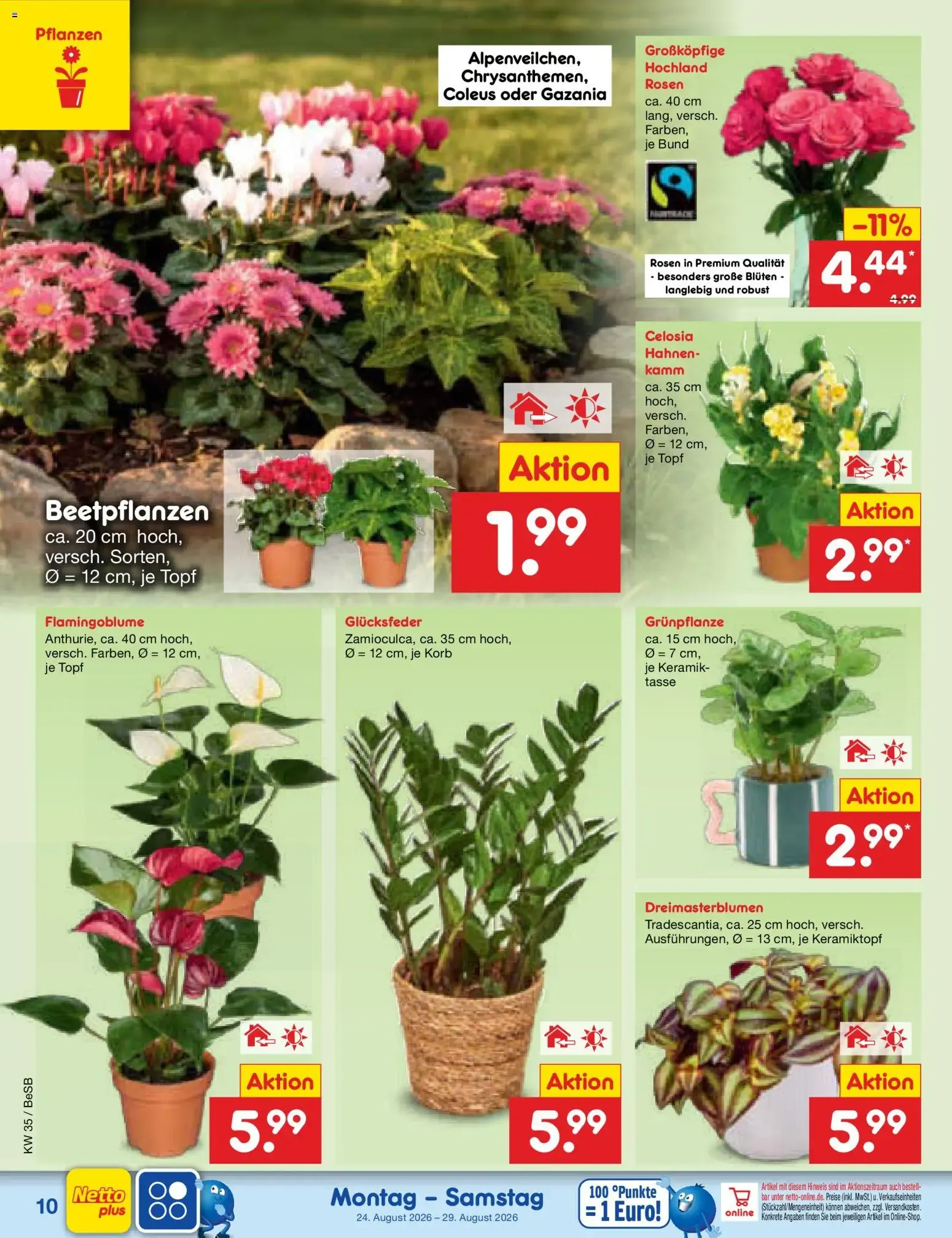 Netto Marken-Discount Prospekt (ab 24.08.2026) » Angebote von 24. August bis 29. August 2026 - Prospekt seite 14