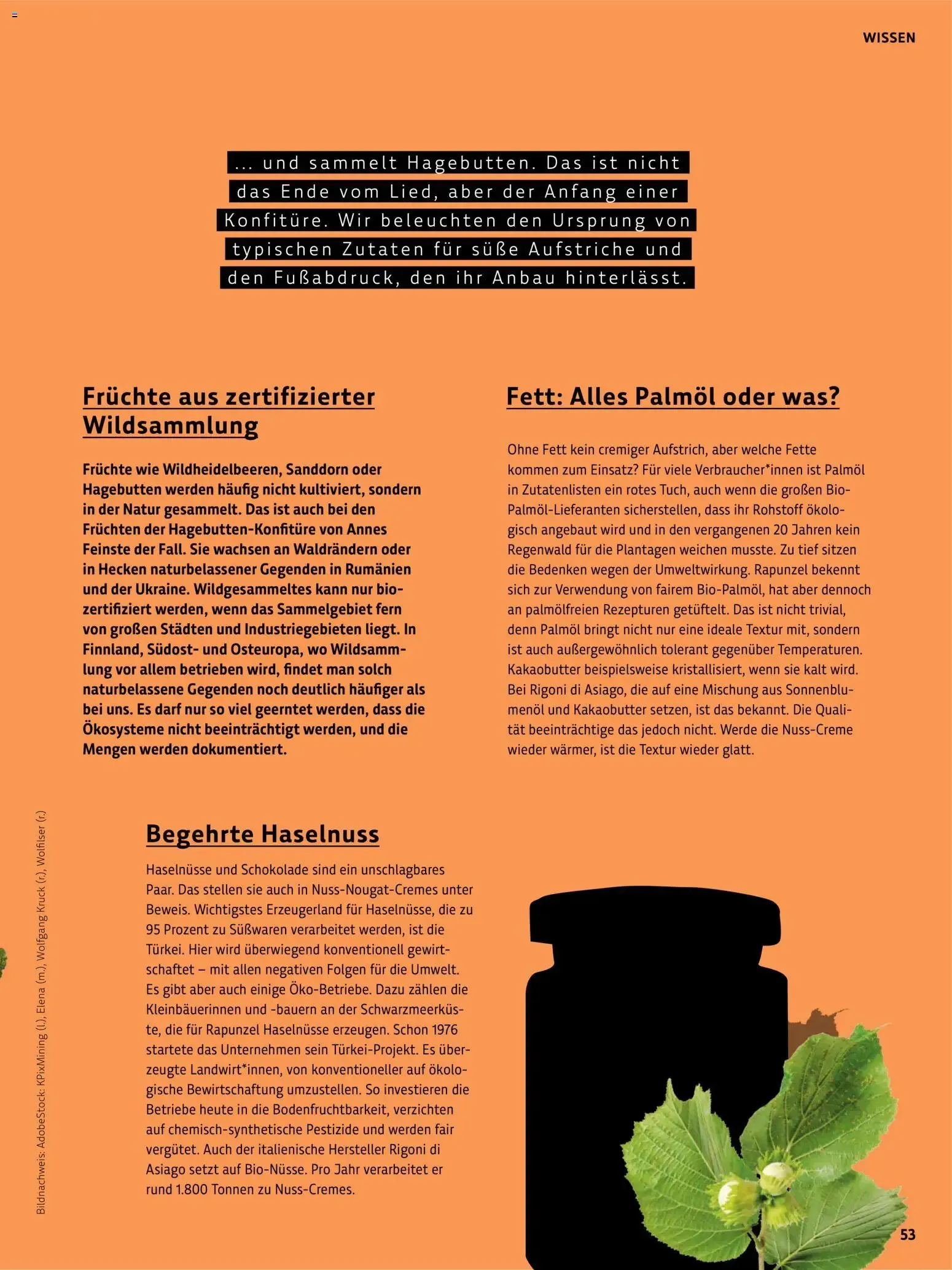 Das BioMarkt Magazin KREO von 17. Juli bis 30. September 2026 - Prospekt seite 52