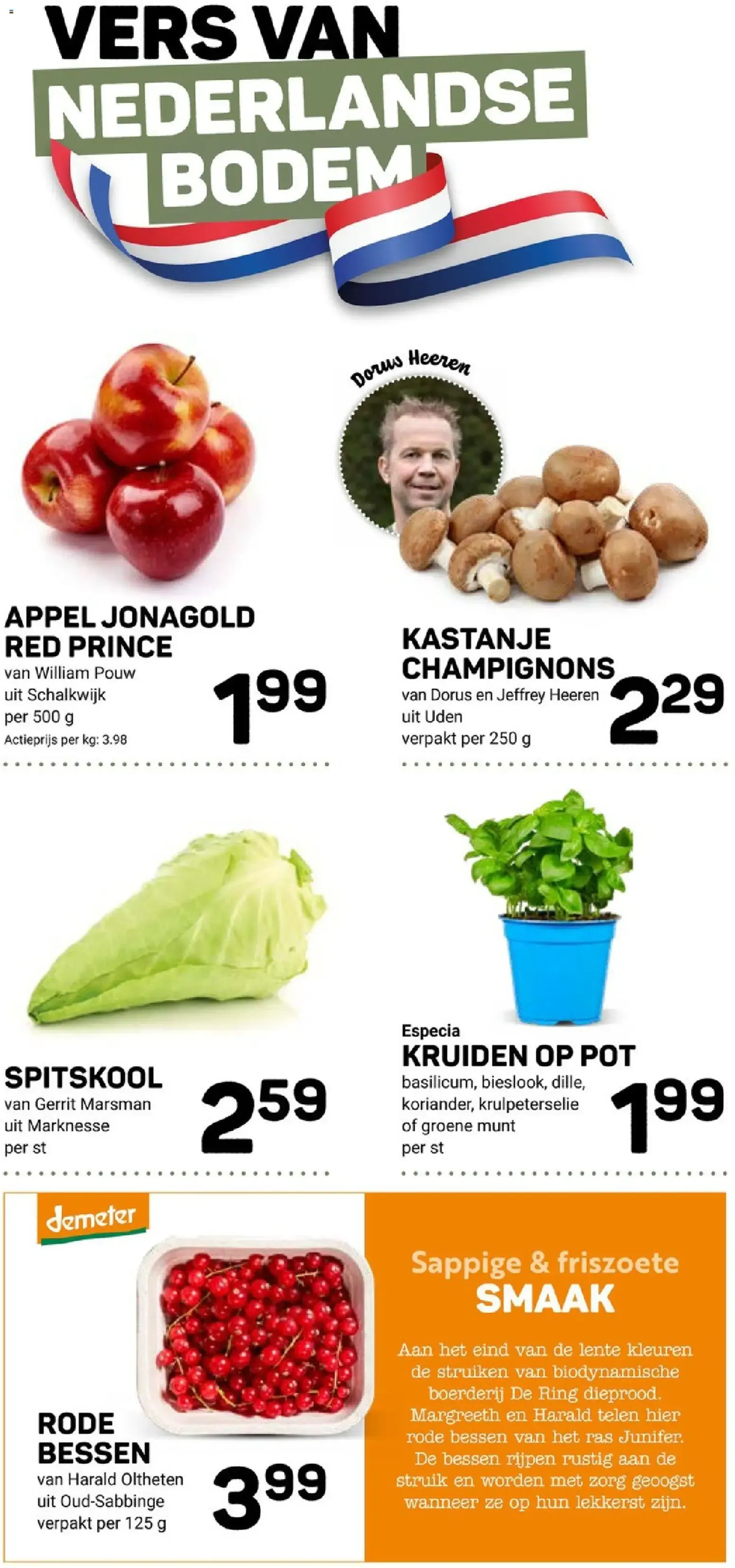 Groene KRACHT- PATSERS van 17 juni tot 23 juni 2026 - Folder pagina 6