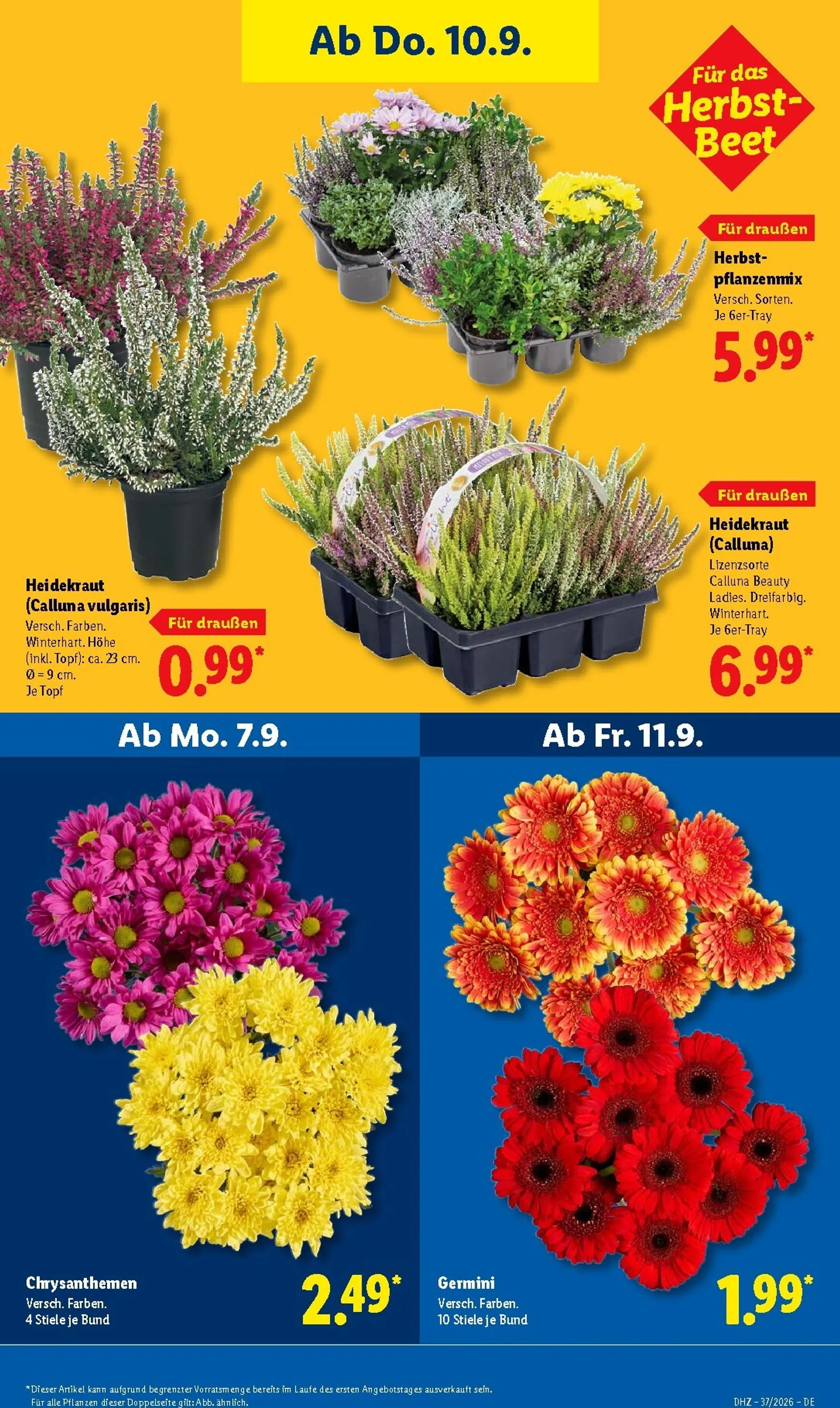 Lidl Prospekt nächste Woche – von Montag 07.09.2026 bis Samstag 12.09.2026 von 7. September bis 12. September 2026 - Prospekt seite 28