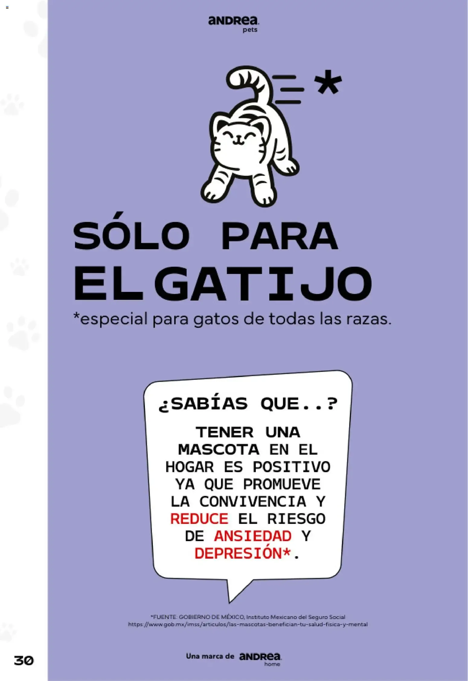 Catálogo de Andrea catálogo Pets 2026 - Catálogos en línea de 24/05 - 22/08 24 de mayo al 22 de agosto 2026 - Pagina 30