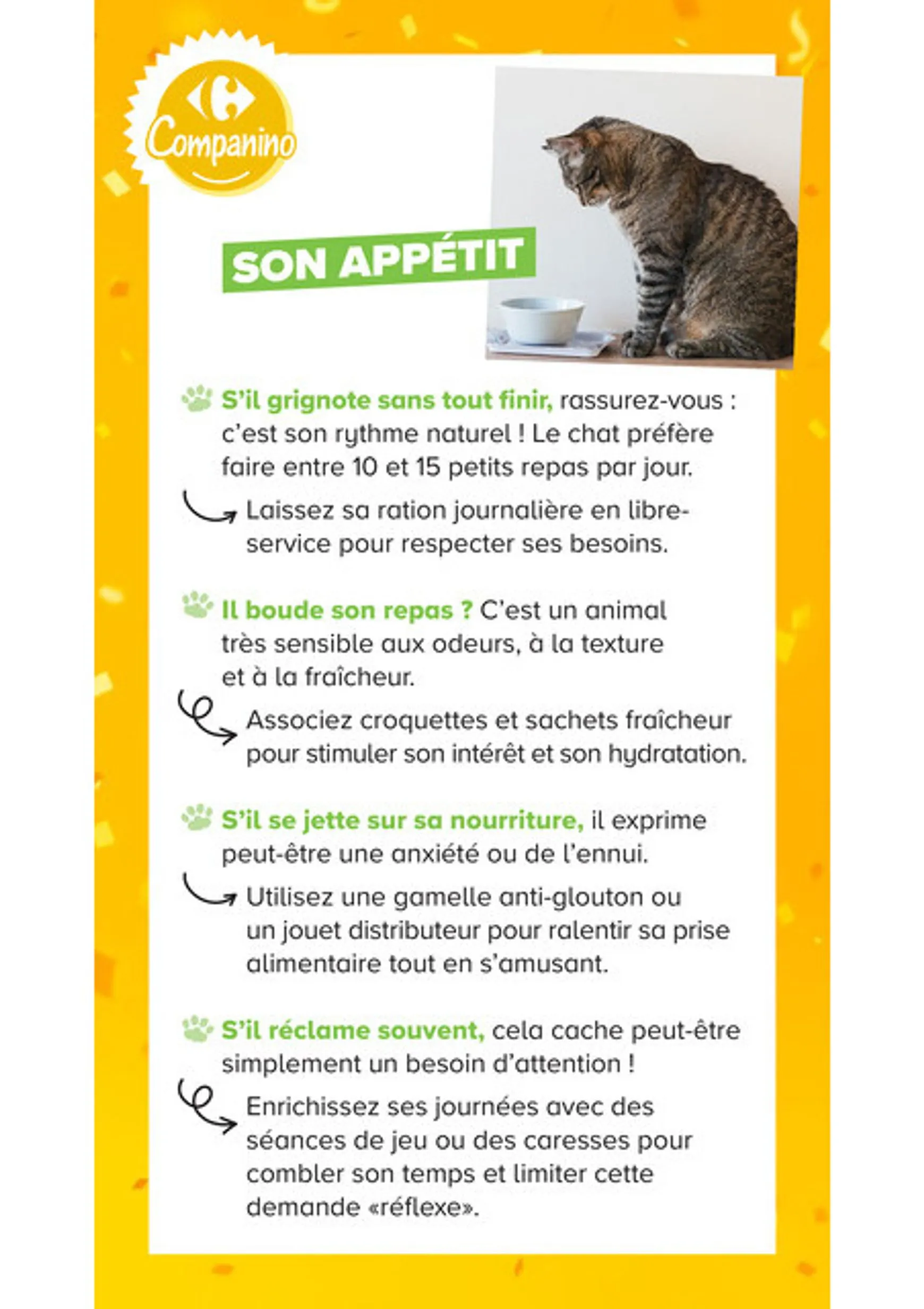 Current Carrefour Market - Découvrez la Marque Carrefour Companino leaflet valid from du mardi 04/08/2026 to du lundi 07/09/2026 du 4 août au 7 septembre 2026 - Catalogue page 16