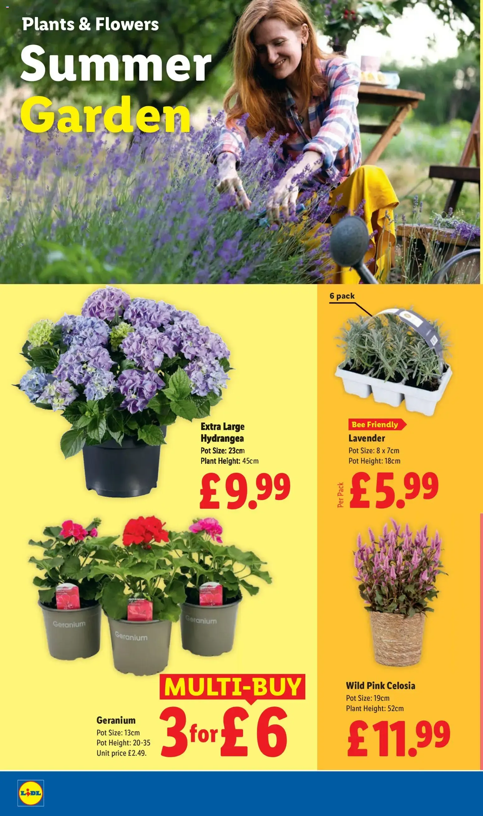 Weekly offers Lidl (16/07/2026 - 22/07/2026) - Offers Online from 16 July to 22 July 2026 - Catalogue Page 22