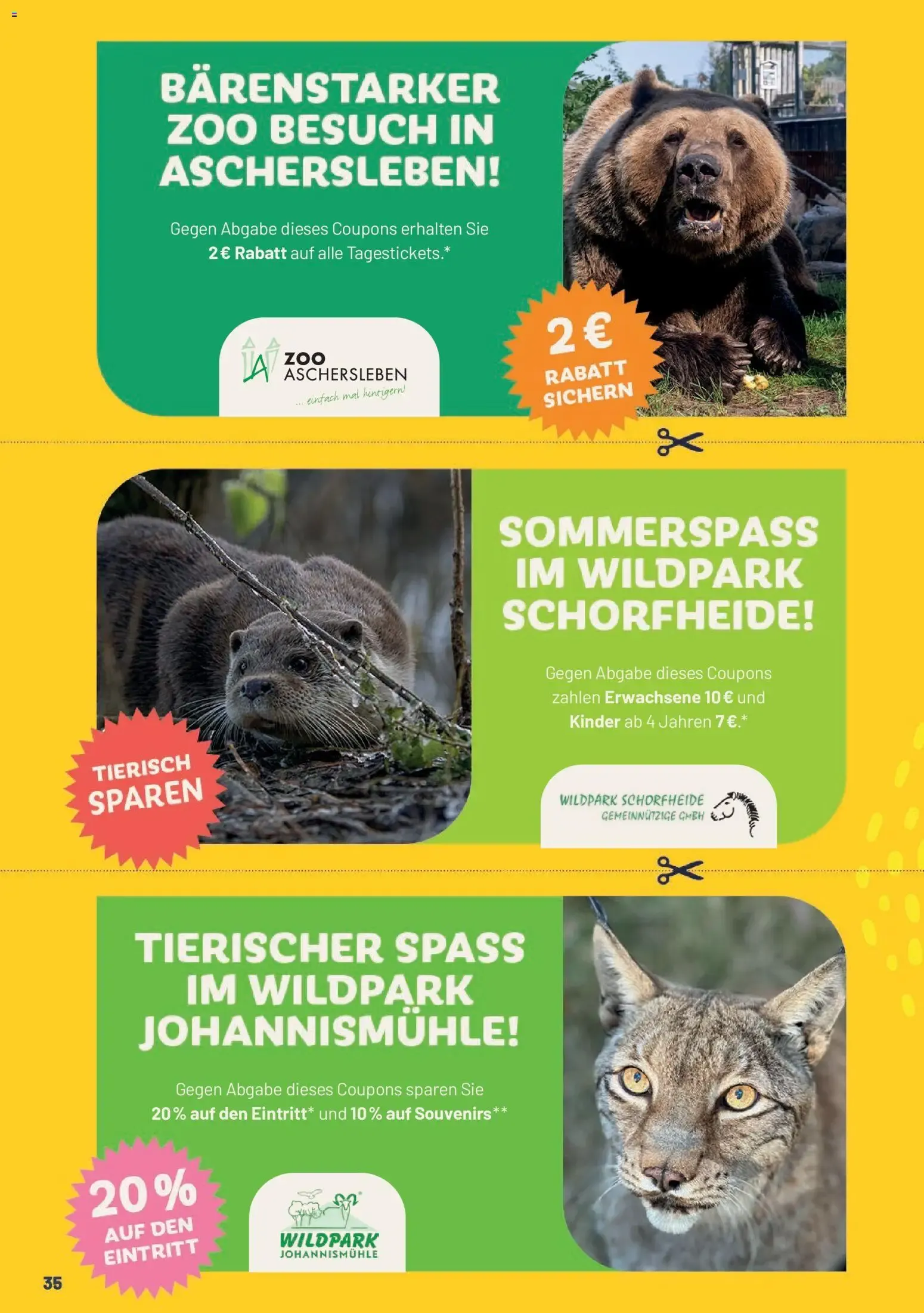 E center Prospekt Super Sommer Spar-Pass 2026 (ab 16.06.2026) zum Blättern von 16. Juni bis 31. August 2026 - Prospekt seite 36